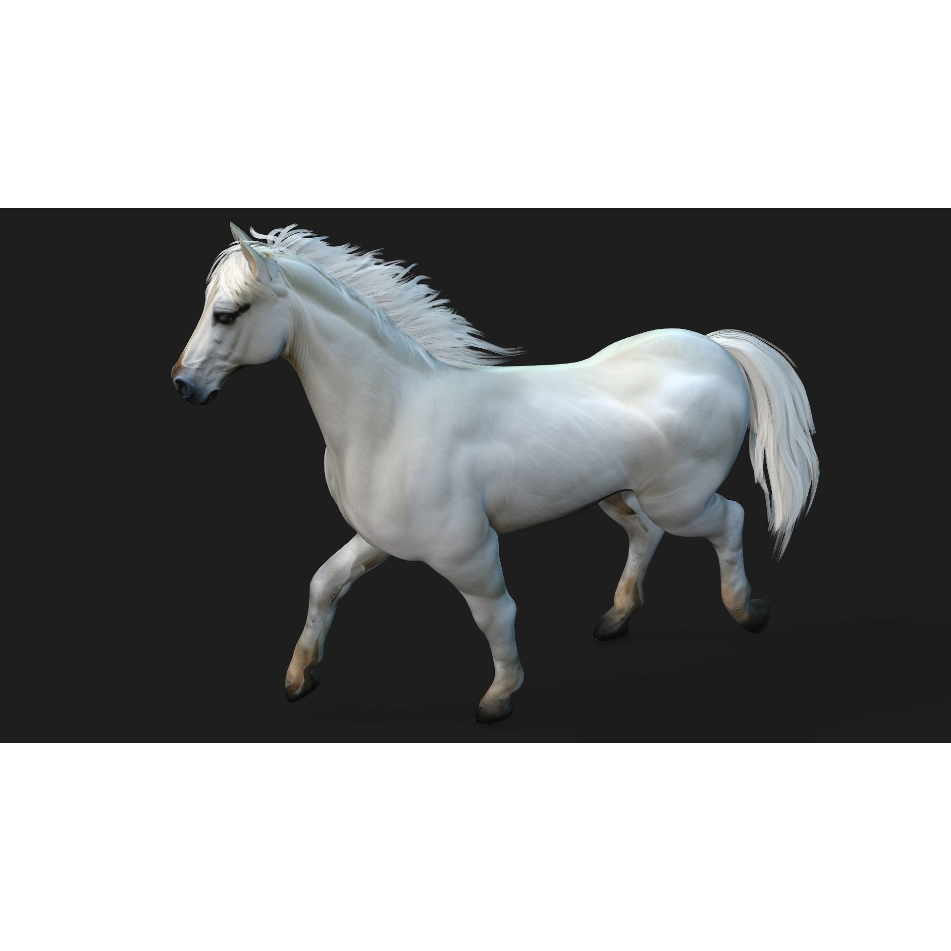Horse 3D Model – Rigged Animal Animation with PBR Textures, FBX - View 3