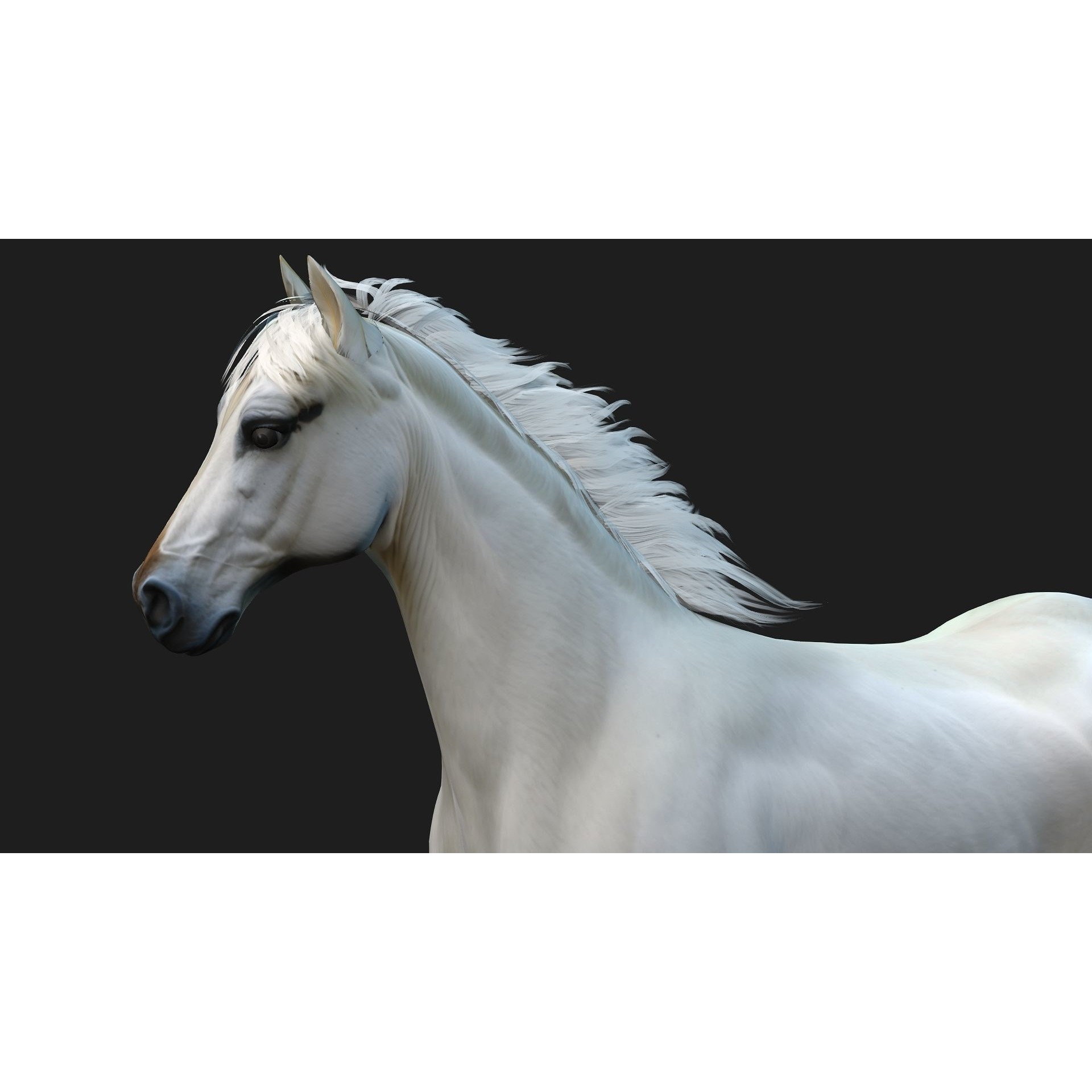 Horse 3D Model – Rigged Animal Animation with PBR Textures, FBX - View 4