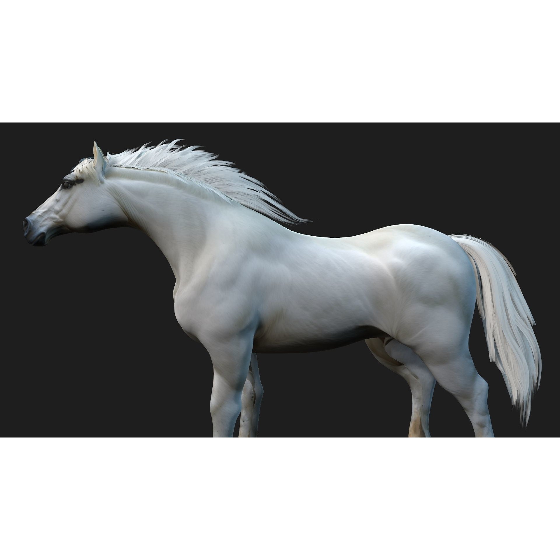 Horse 3D Model – Rigged Animal Animation with PBR Textures, FBX - View 5