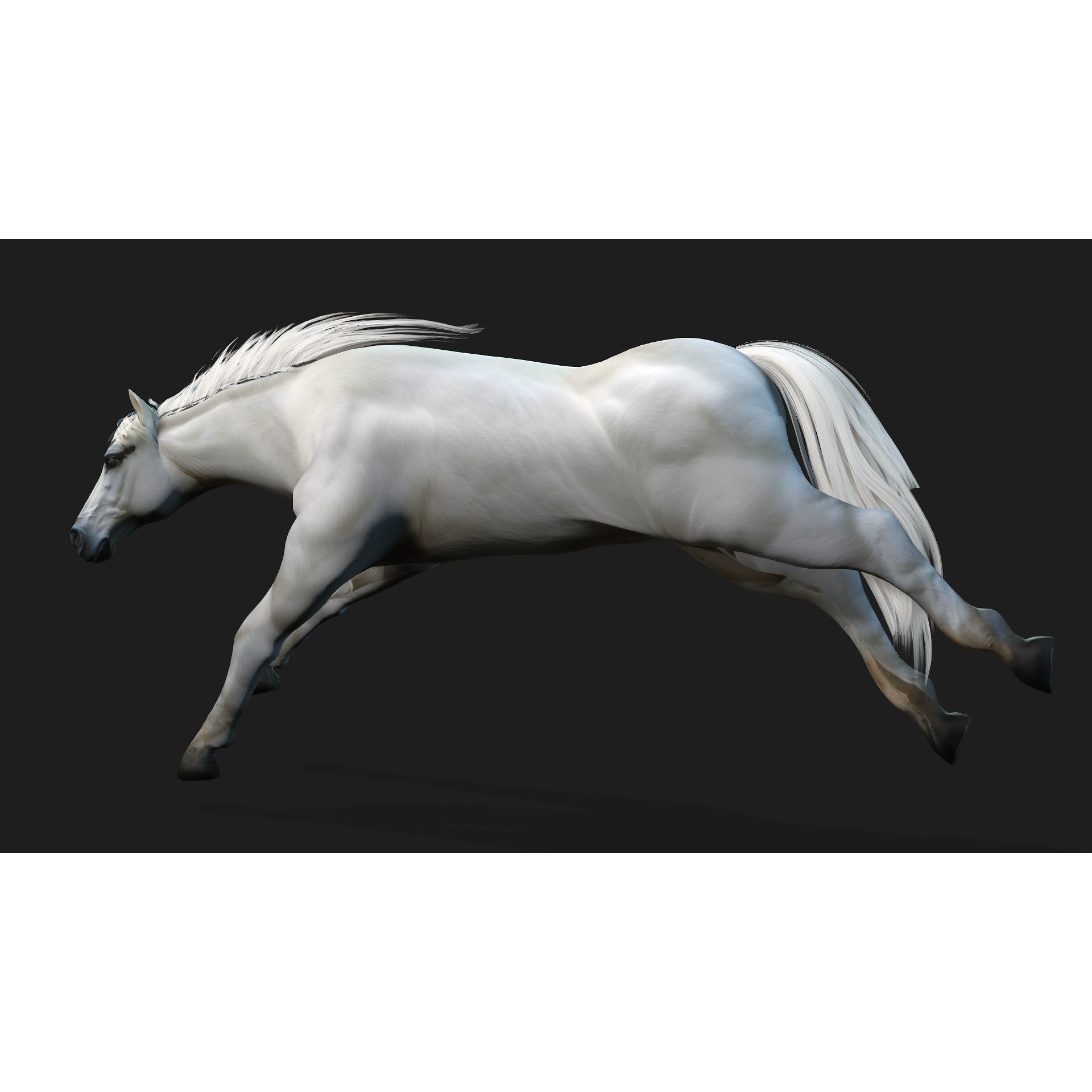 Horse 3D Model – Rigged Animal Animation with PBR Textures, FBX - View 6