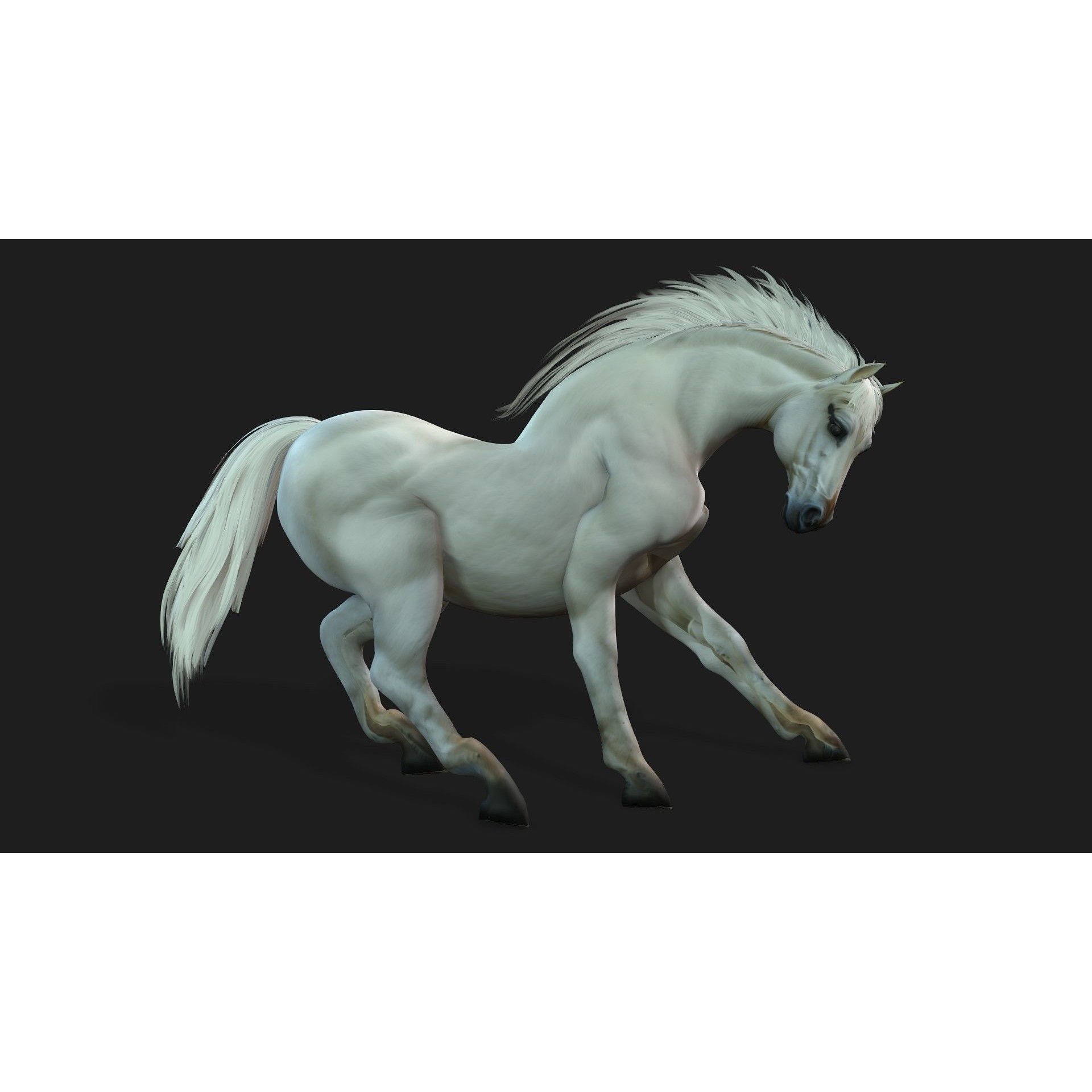 Horse 3D Model – Rigged Animal Animation with PBR Textures, FBX - View 7