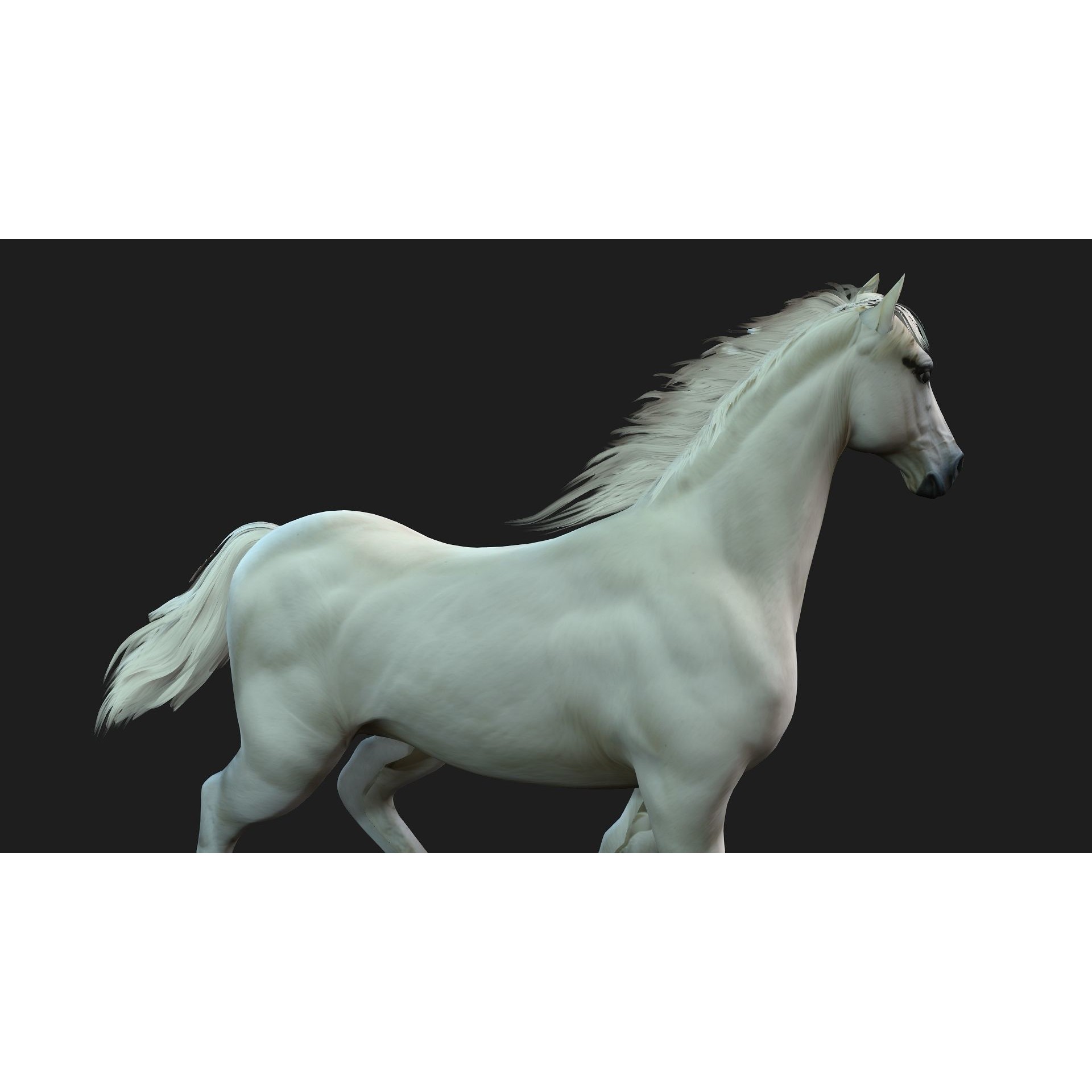 Horse 3D Model – Rigged Animal Animation with PBR Textures, FBX - View 8
