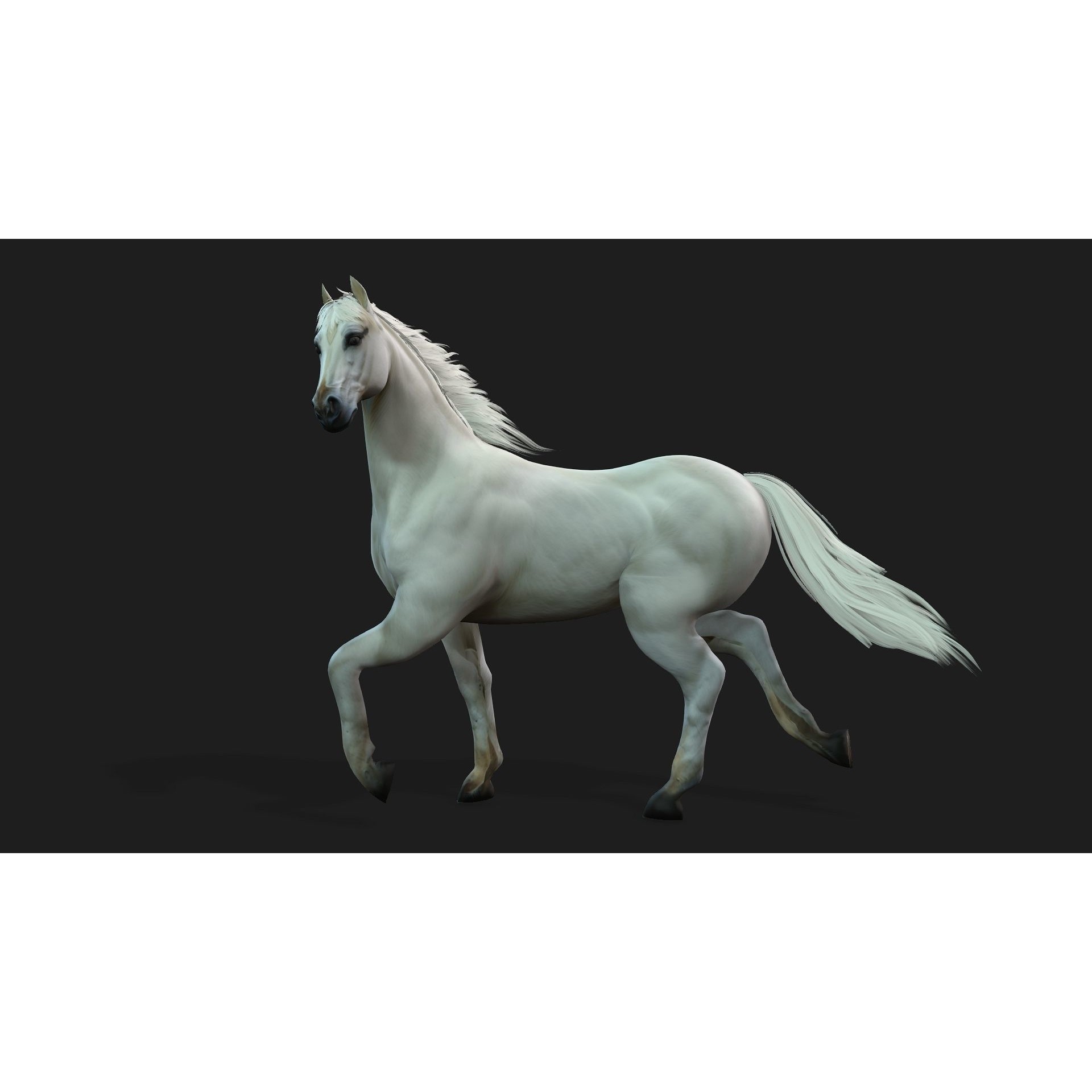 Horse 3D Model – Rigged Animal Animation with PBR Textures, FBX - View 9