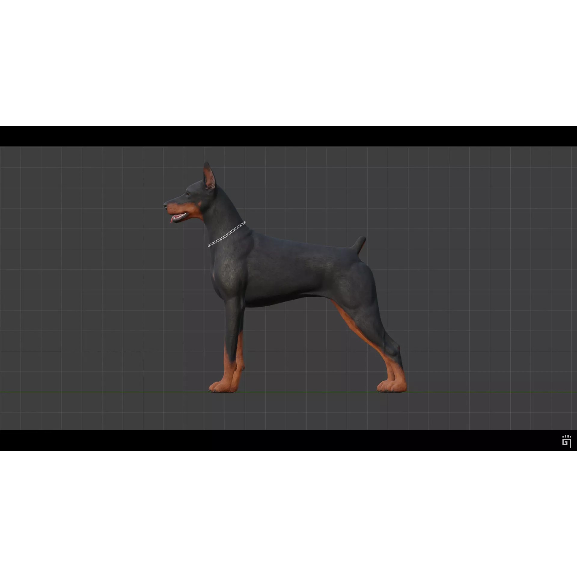 Dobermann 3D Model – Low Poly Rigged Character for Games, FBX - View 5