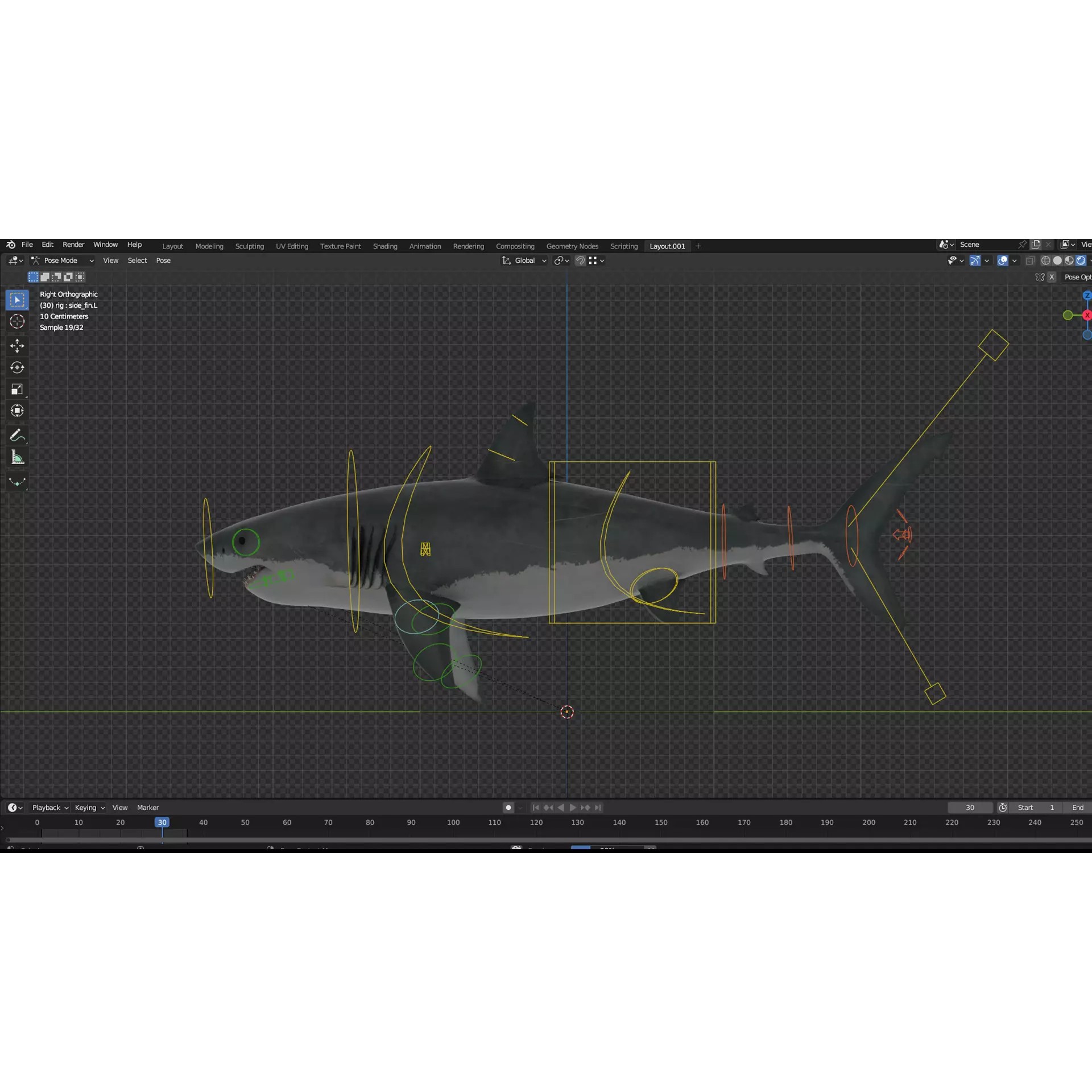 White Shark 3D Model – Game-Ready Rigged Asset, FBX, Blender