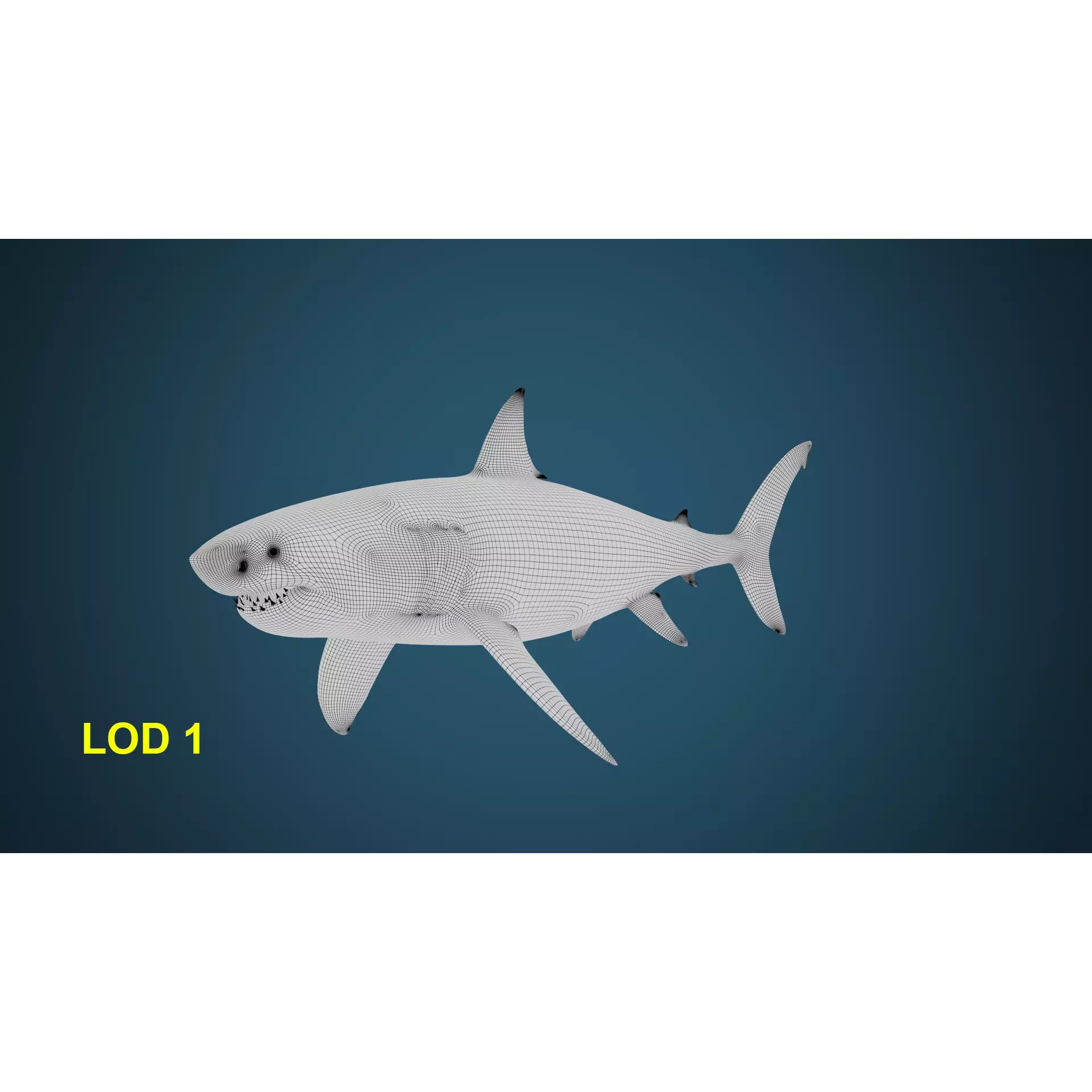 White Shark 3D Model – Game-Ready Rigged Asset, FBX, Blender - View 12