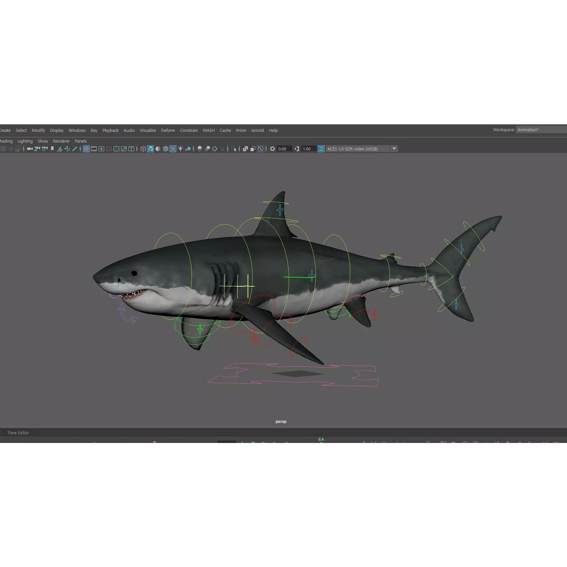 White Shark 3D Model – Game-Ready Rigged Asset, FBX, Blender - View 18