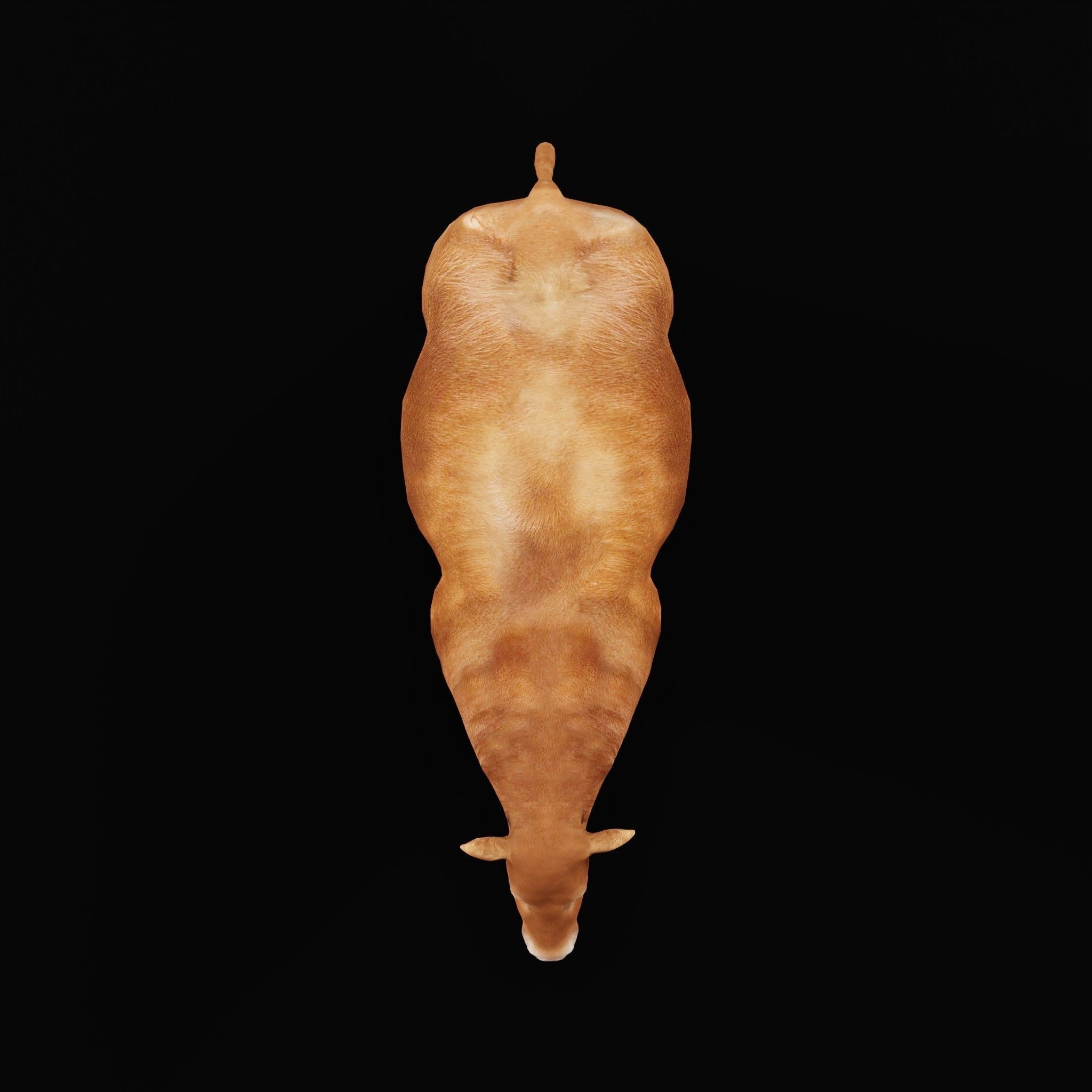 Santa Gertrudis Cattle 3D Model – Low Poly Game Ready Asset, FBX