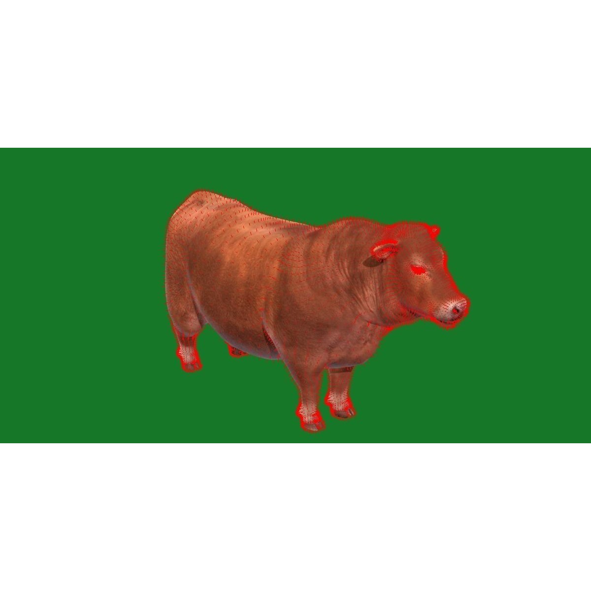 Santa Gertrudis Cattle 3D Model – Low Poly Game Ready Asset, FBX - View 11