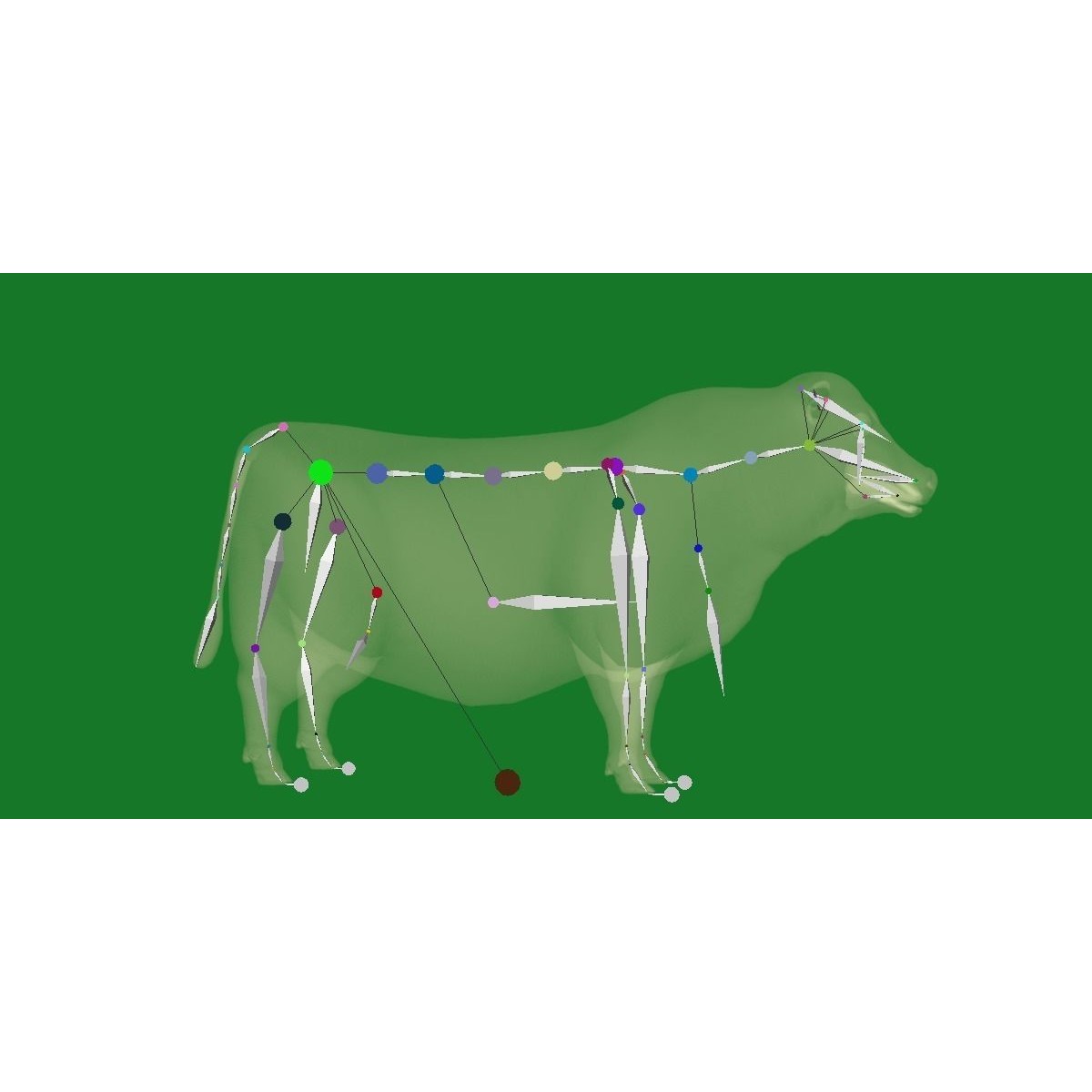 Santa Gertrudis Cattle 3D Model – Low Poly Game Ready Asset, FBX - View 21