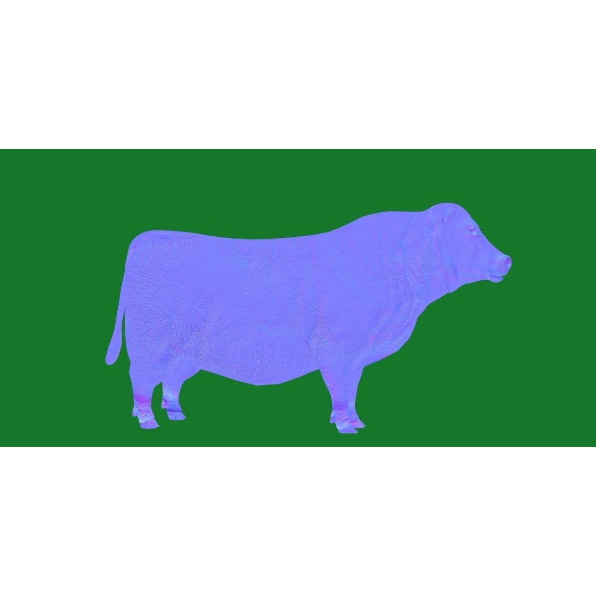 Santa Gertrudis Cattle 3D Model – Low Poly Game Ready Asset, FBX - View 24