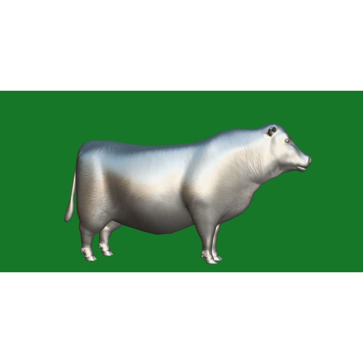 Santa Gertrudis Cattle 3D Model – Low Poly Game Ready Asset, FBX - View 6