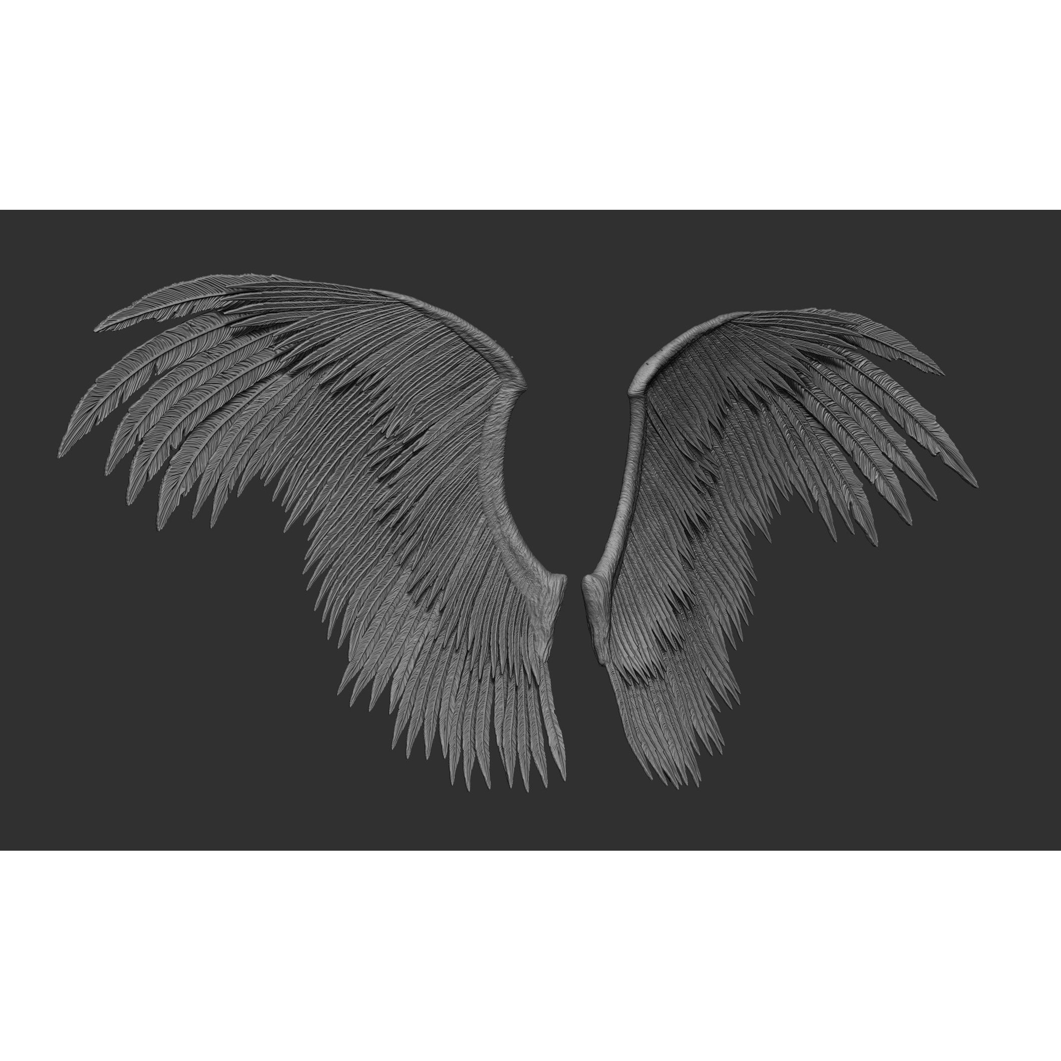 Wings 3D Model – High Poly ZBrush Designs, OBJ, STL Formats