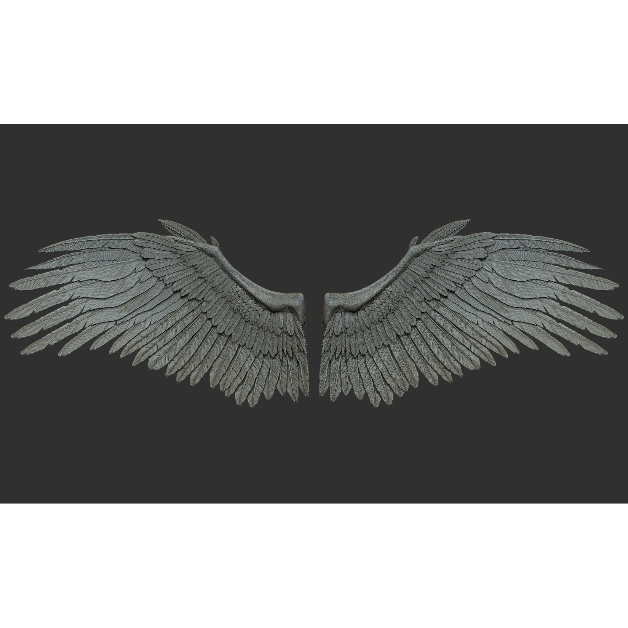 Wings 3D Model – High Poly ZBrush Designs, OBJ, STL Formats - View 10