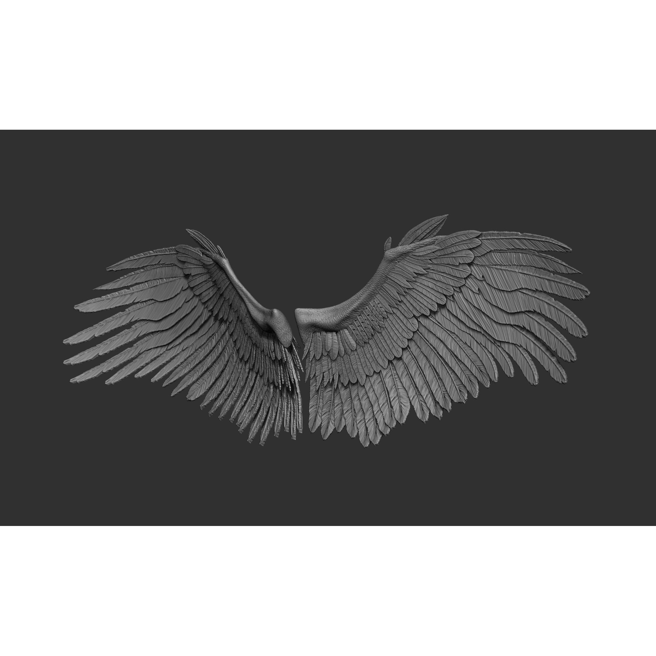 Wings 3D Model – High Poly ZBrush Designs, OBJ, STL Formats - View 11