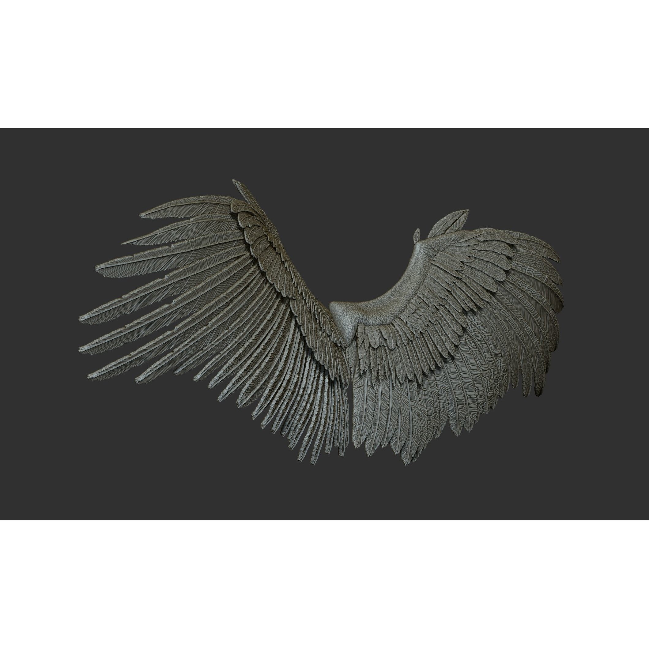 Wings 3D Model – High Poly ZBrush Designs, OBJ, STL Formats - View 13