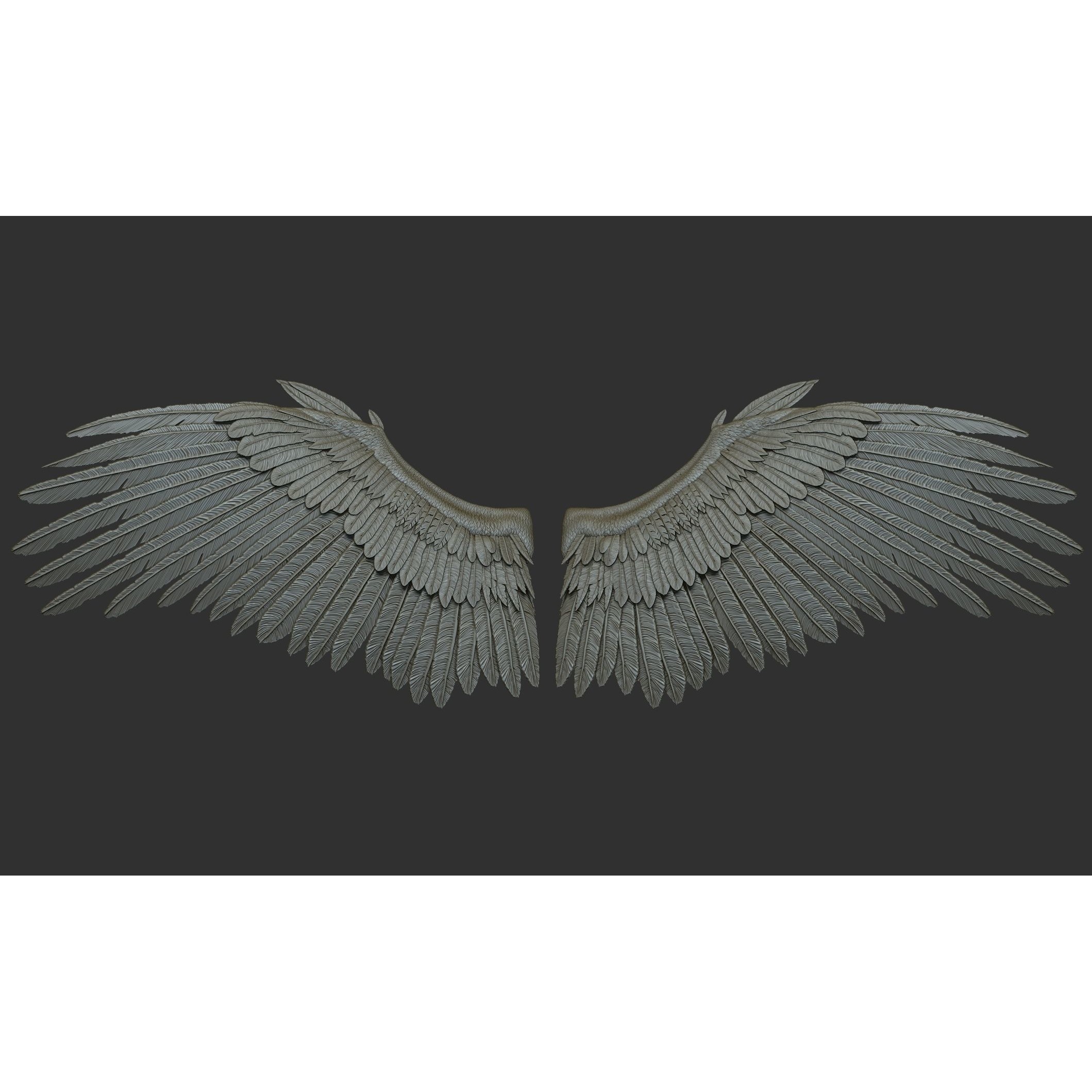 Wings 3D Model – High Poly ZBrush Designs, OBJ, STL Formats - View 14
