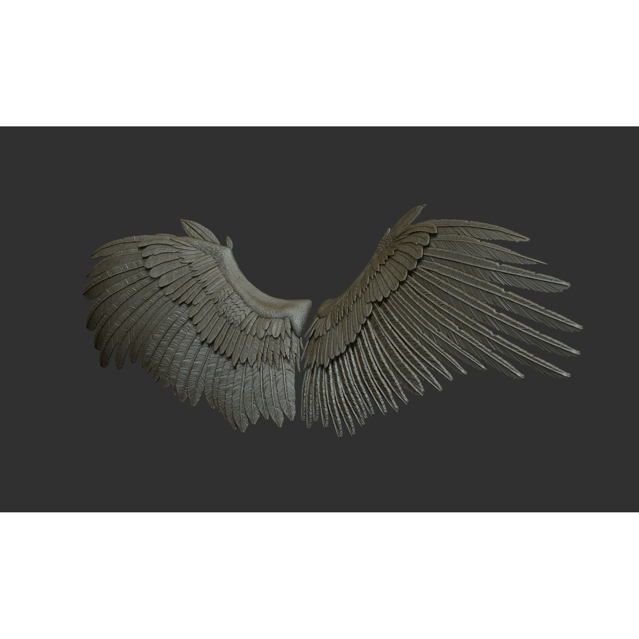 Wings 3D Model – High Poly ZBrush Designs, OBJ, STL Formats - View 15
