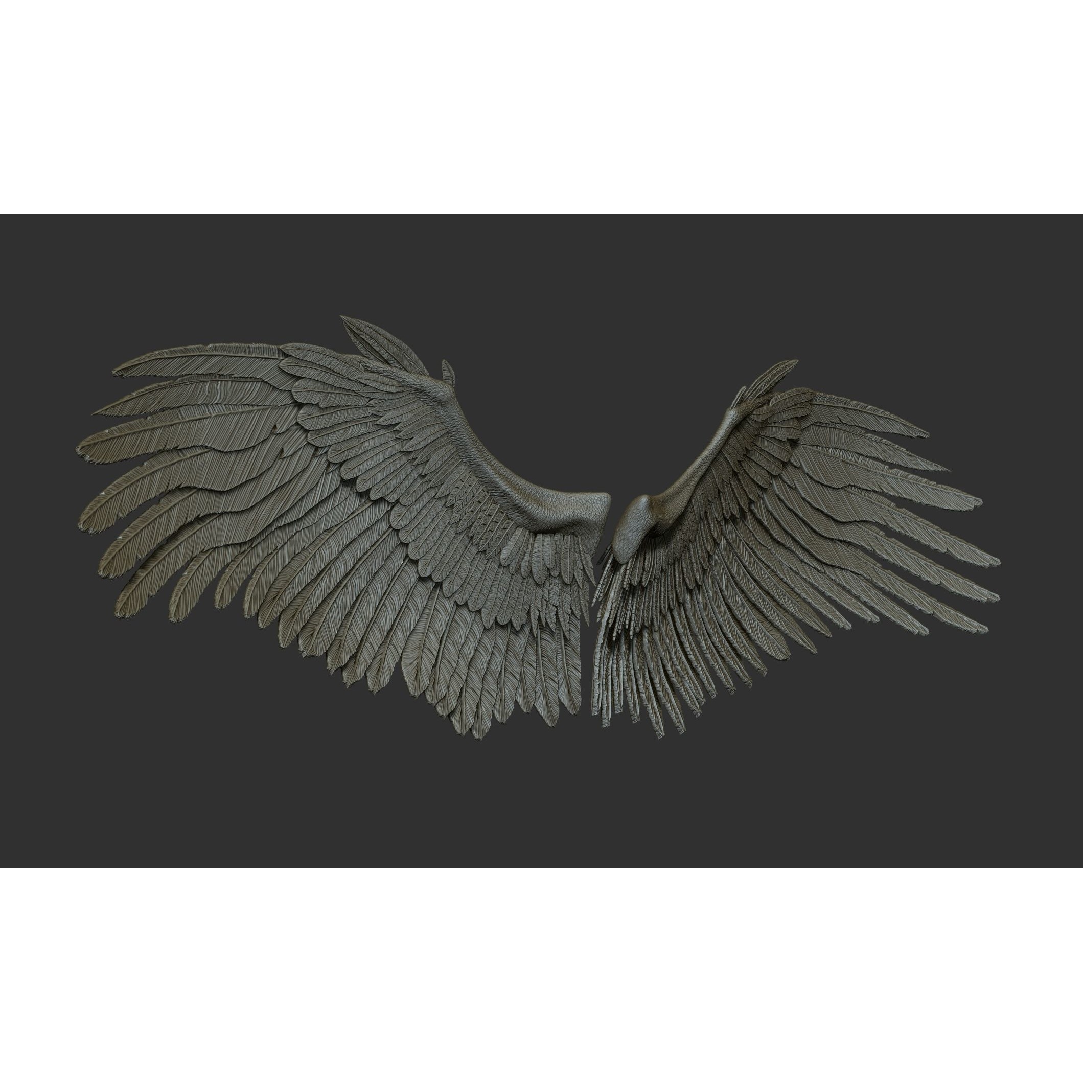 Wings 3D Model – High Poly ZBrush Designs, OBJ, STL Formats - View 16