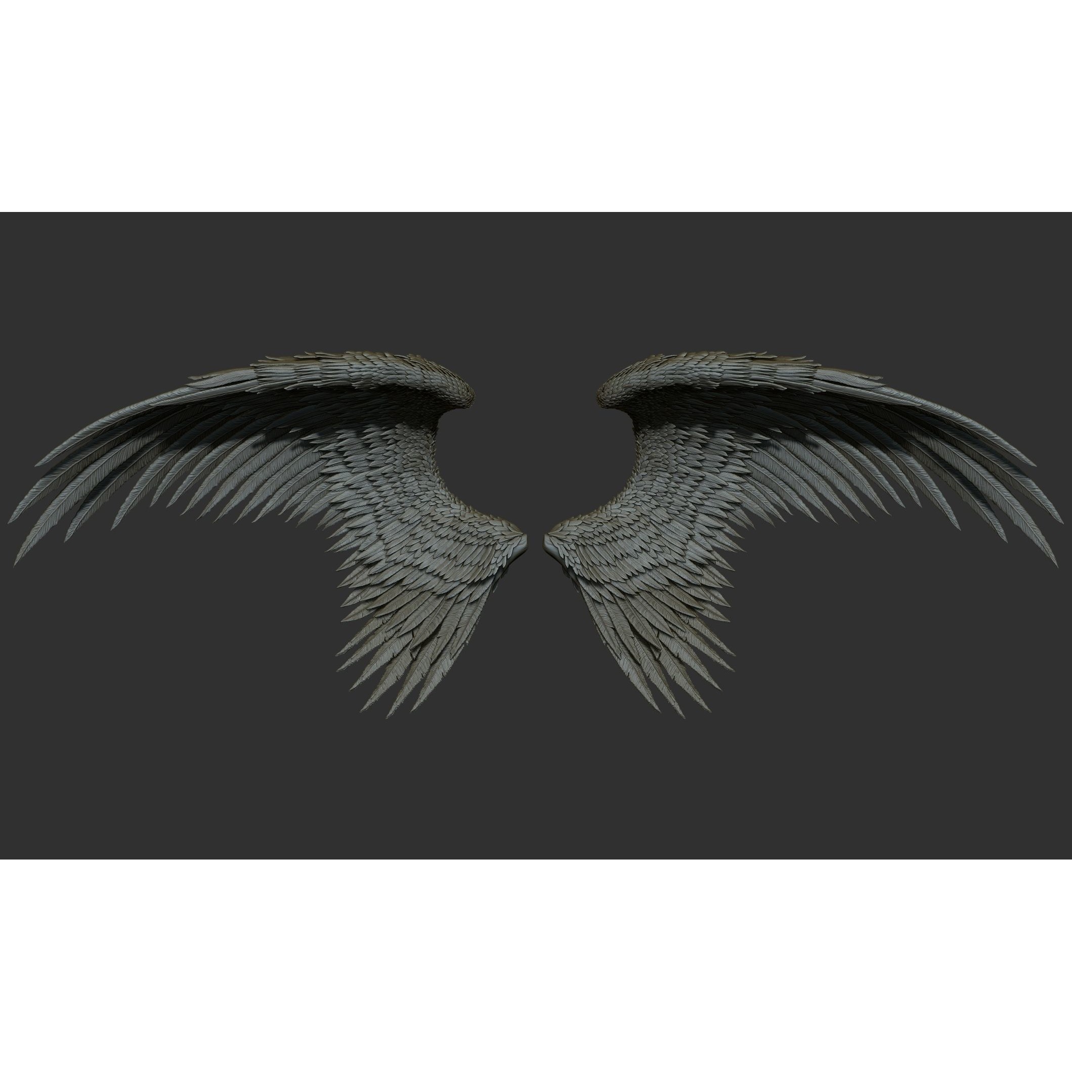 Wings 3D Model – High Poly ZBrush Designs, OBJ, STL Formats - View 18
