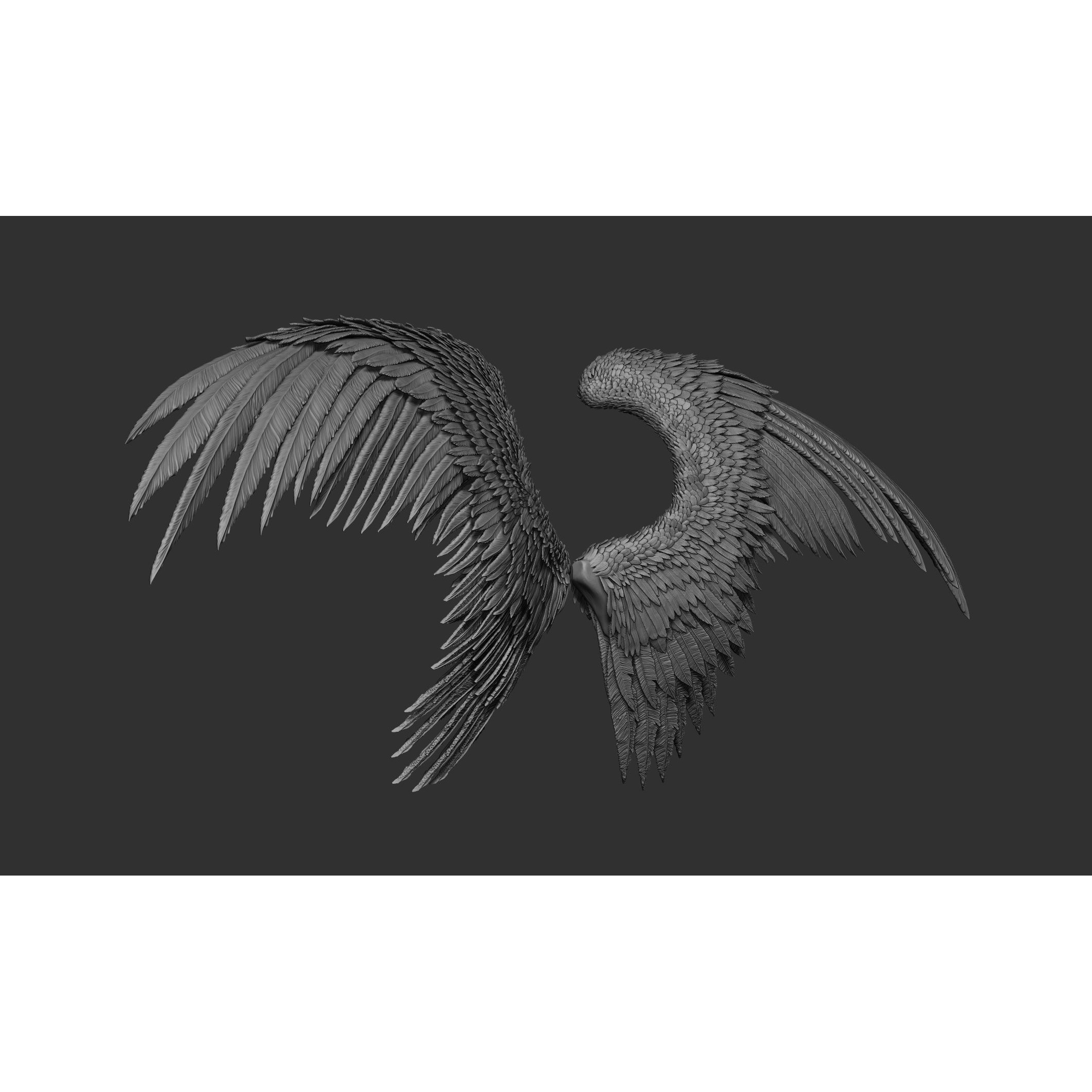Wings 3D Model – High Poly ZBrush Designs, OBJ, STL Formats - View 20