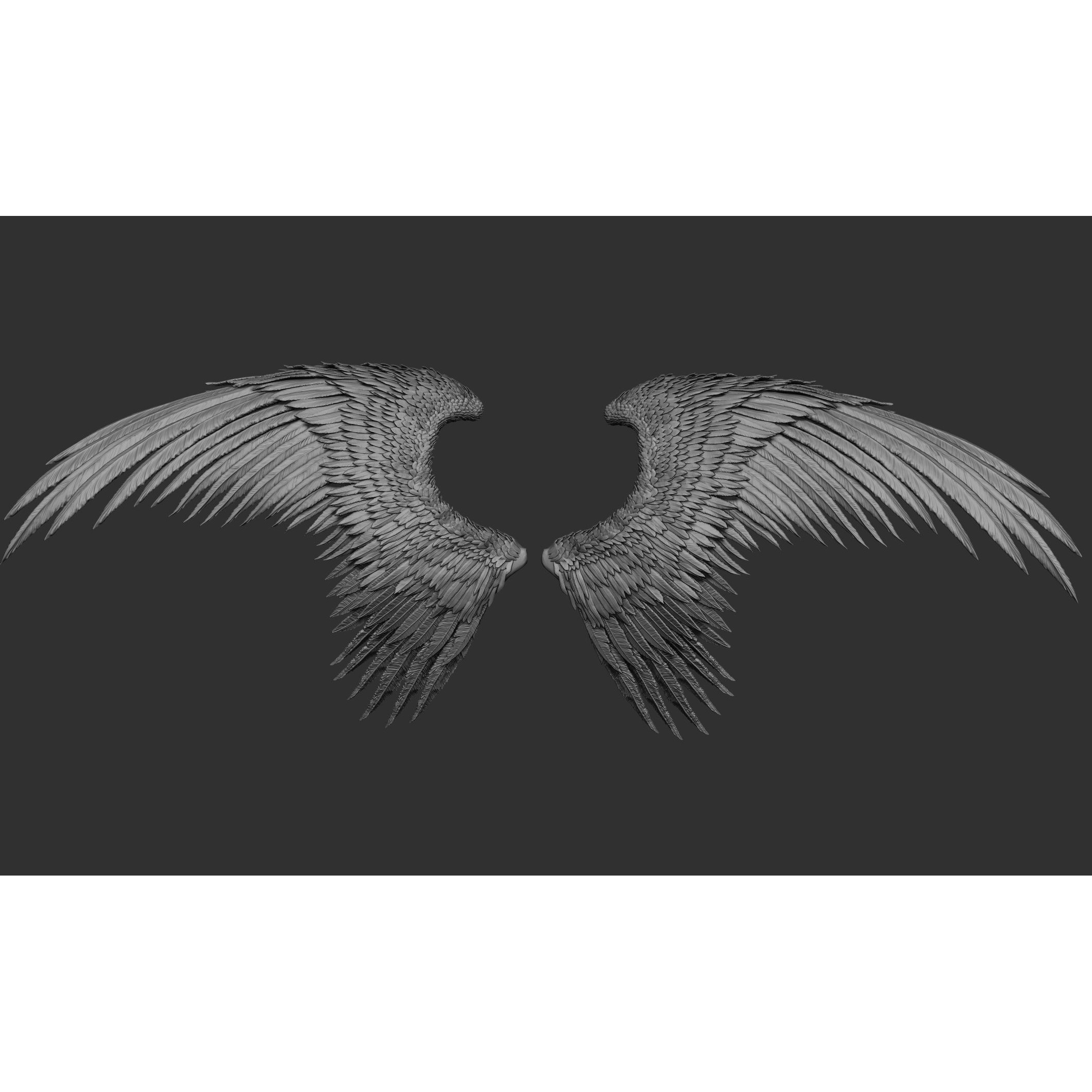 Wings 3D Model – High Poly ZBrush Designs, OBJ, STL Formats - View 21