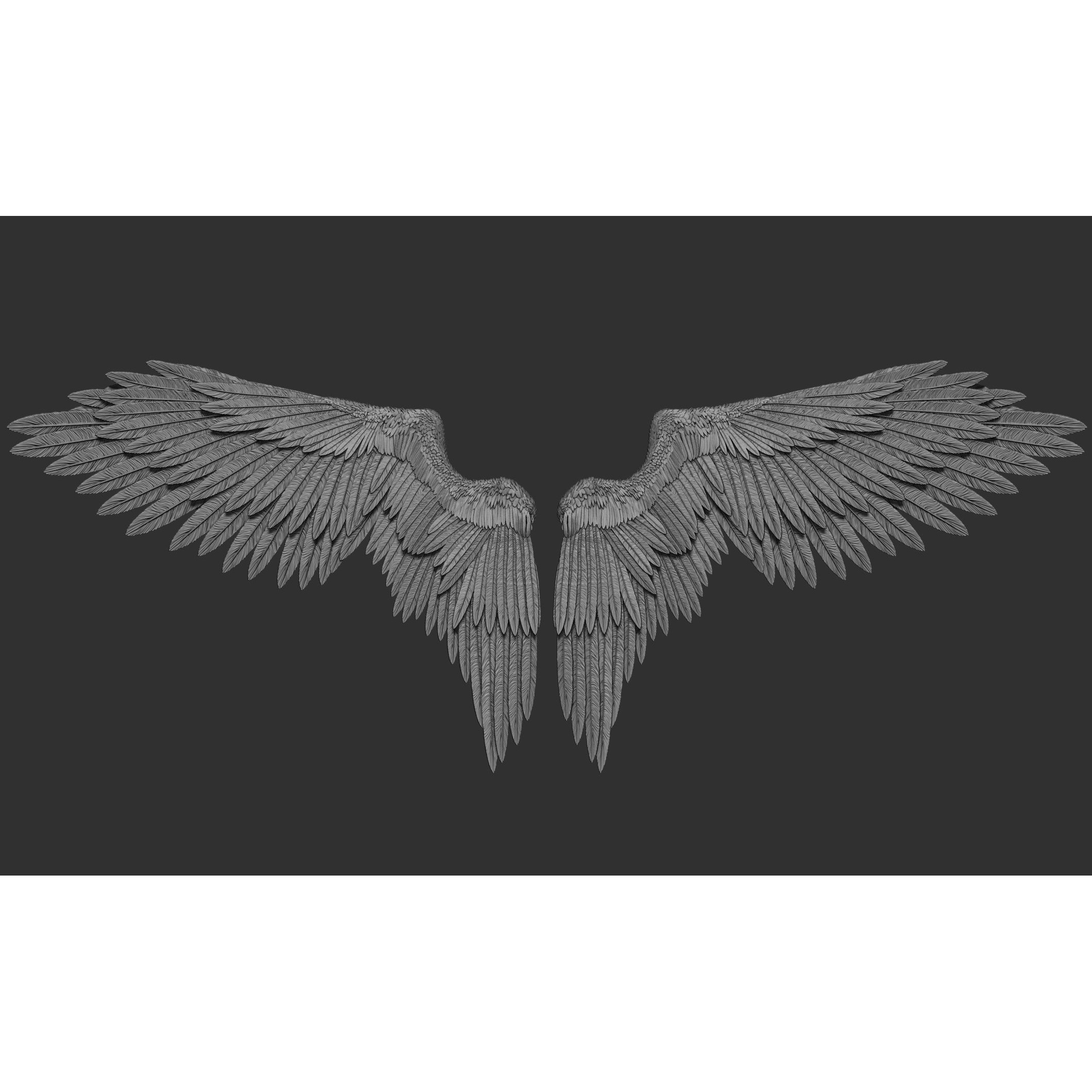 Wings 3D Model – High Poly ZBrush Designs, OBJ, STL Formats - View 24
