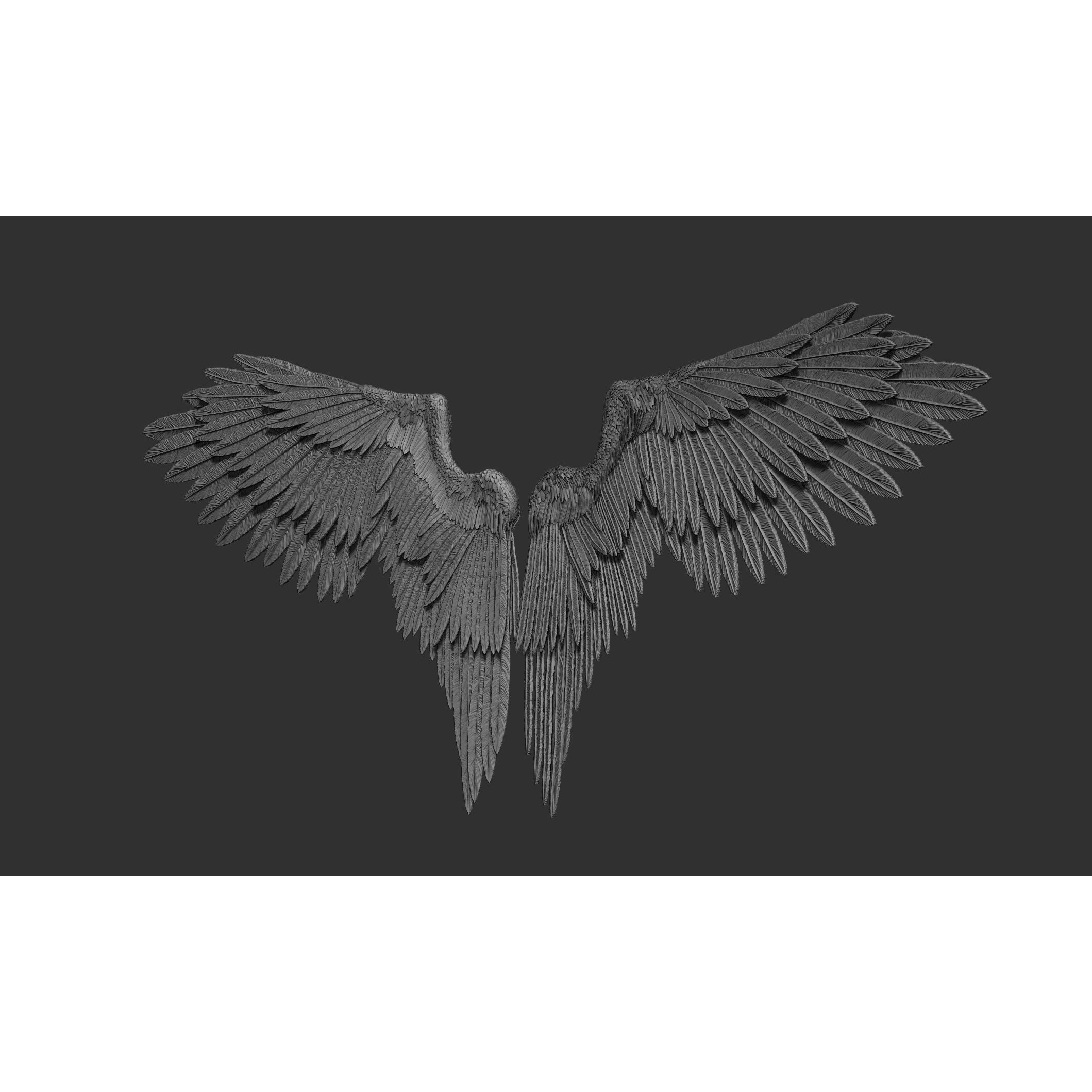Wings 3D Model – High Poly ZBrush Designs, OBJ, STL Formats - View 25