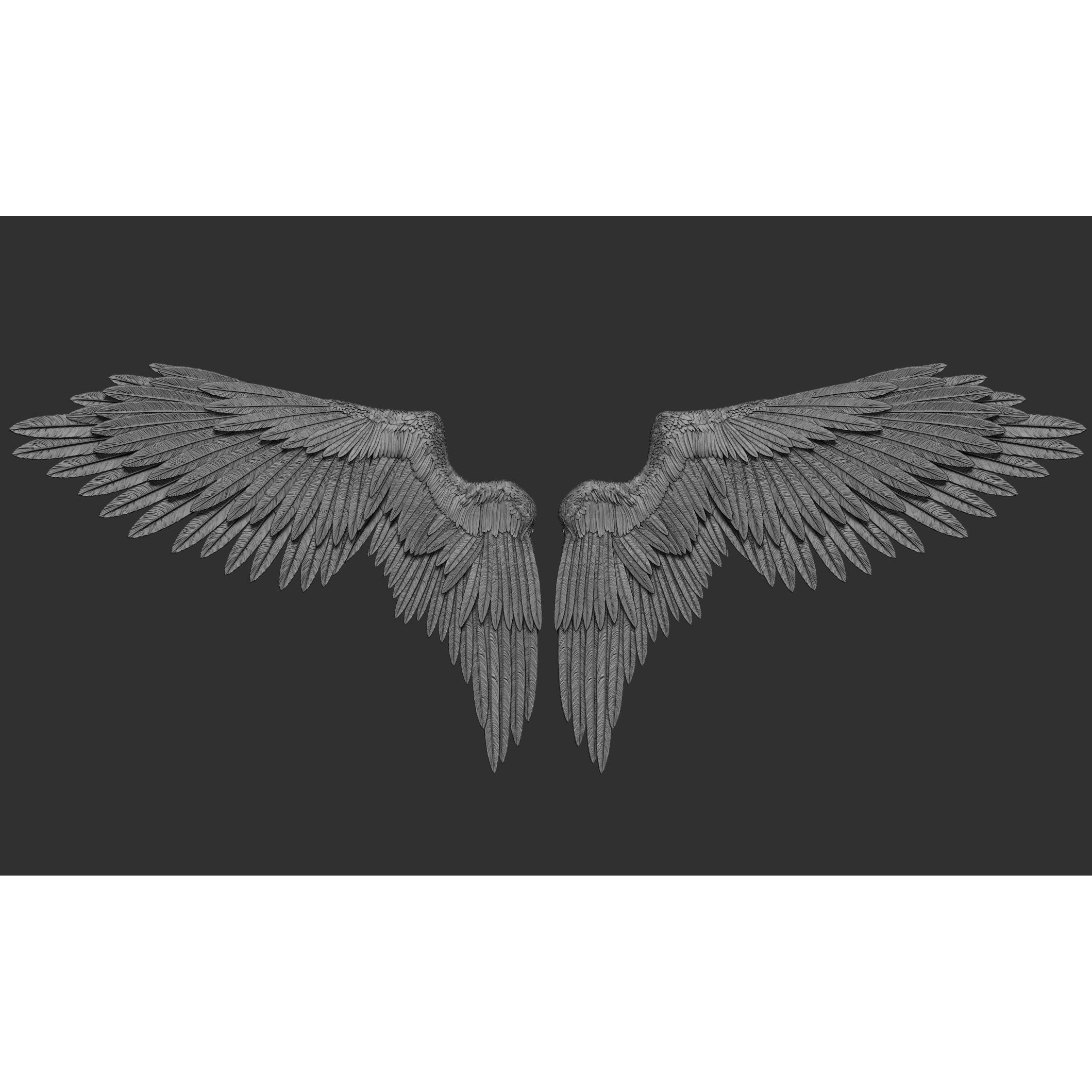 Wings 3D Model – High Poly ZBrush Designs, OBJ, STL Formats - View 26