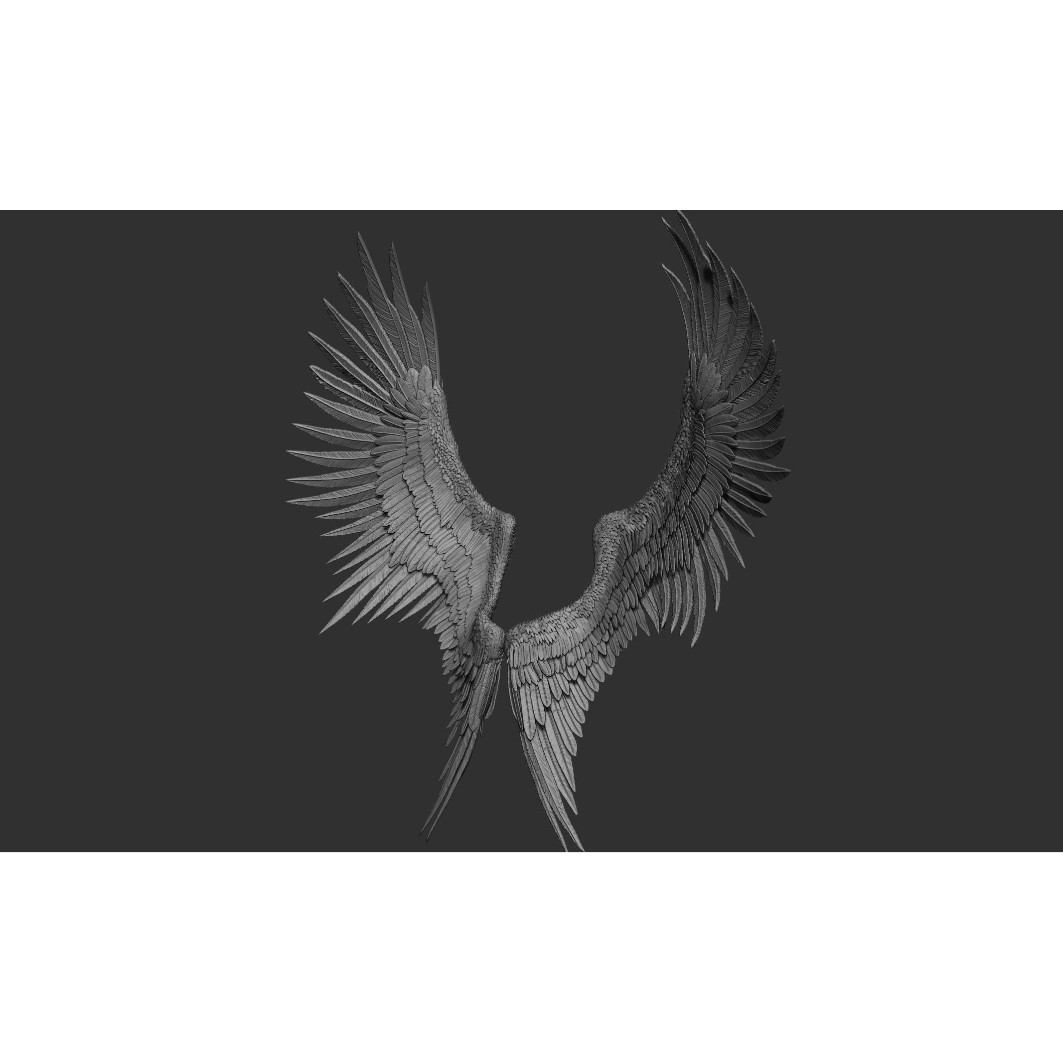 Wings 3D Model – High Poly ZBrush Designs, OBJ, STL Formats - View 29