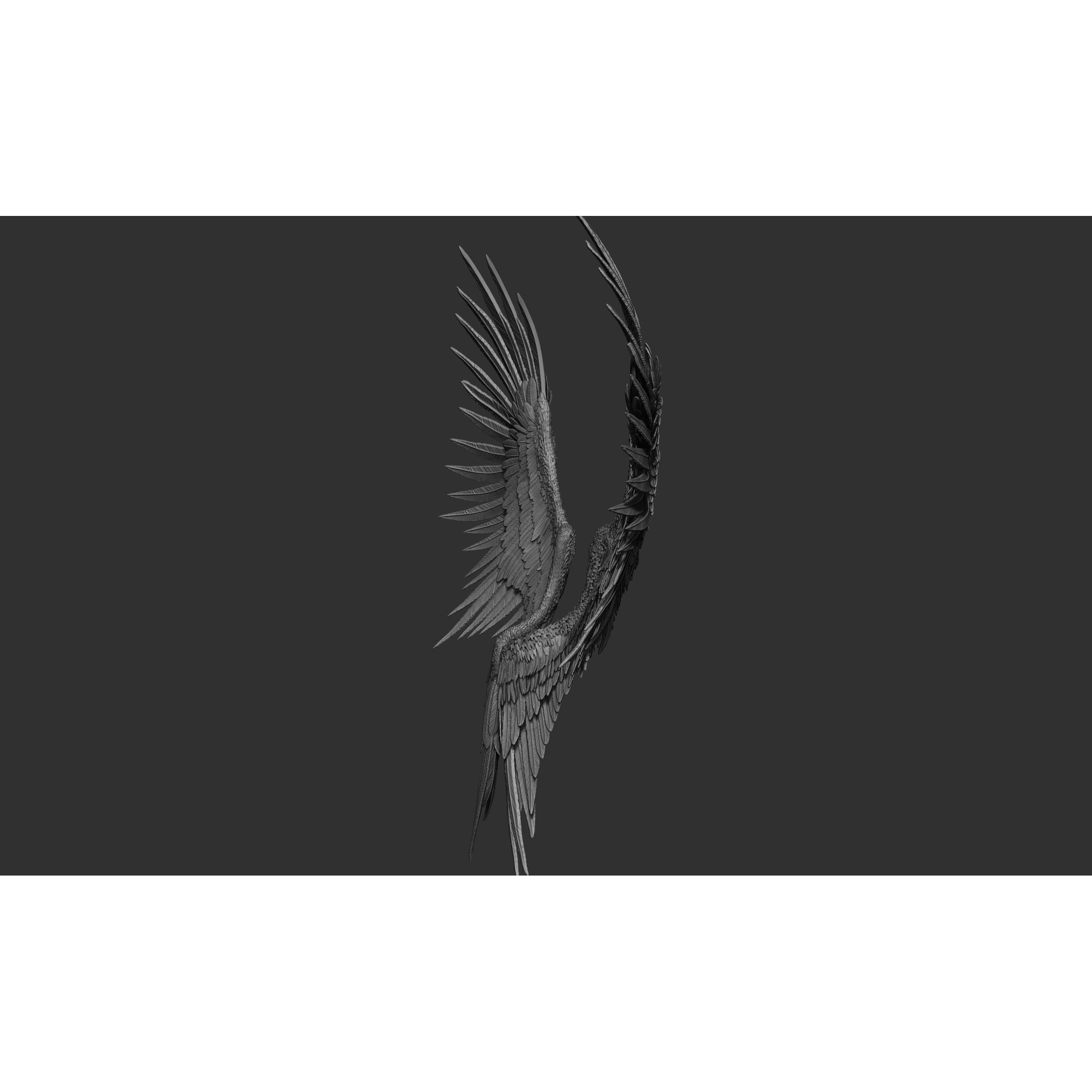 Wings 3D Model – High Poly ZBrush Designs, OBJ, STL Formats - View 30