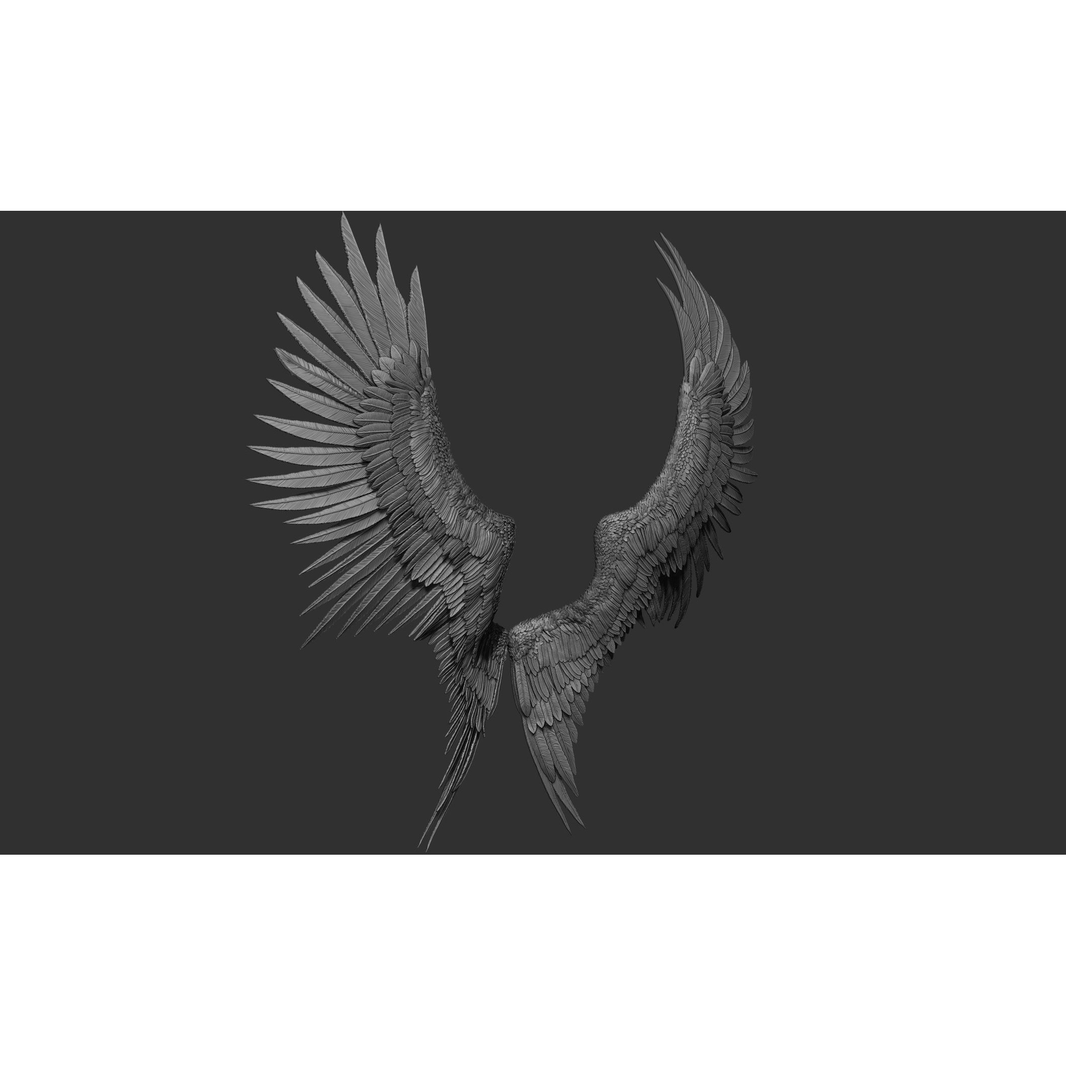 Wings 3D Model – High Poly ZBrush Designs, OBJ, STL Formats - View 31
