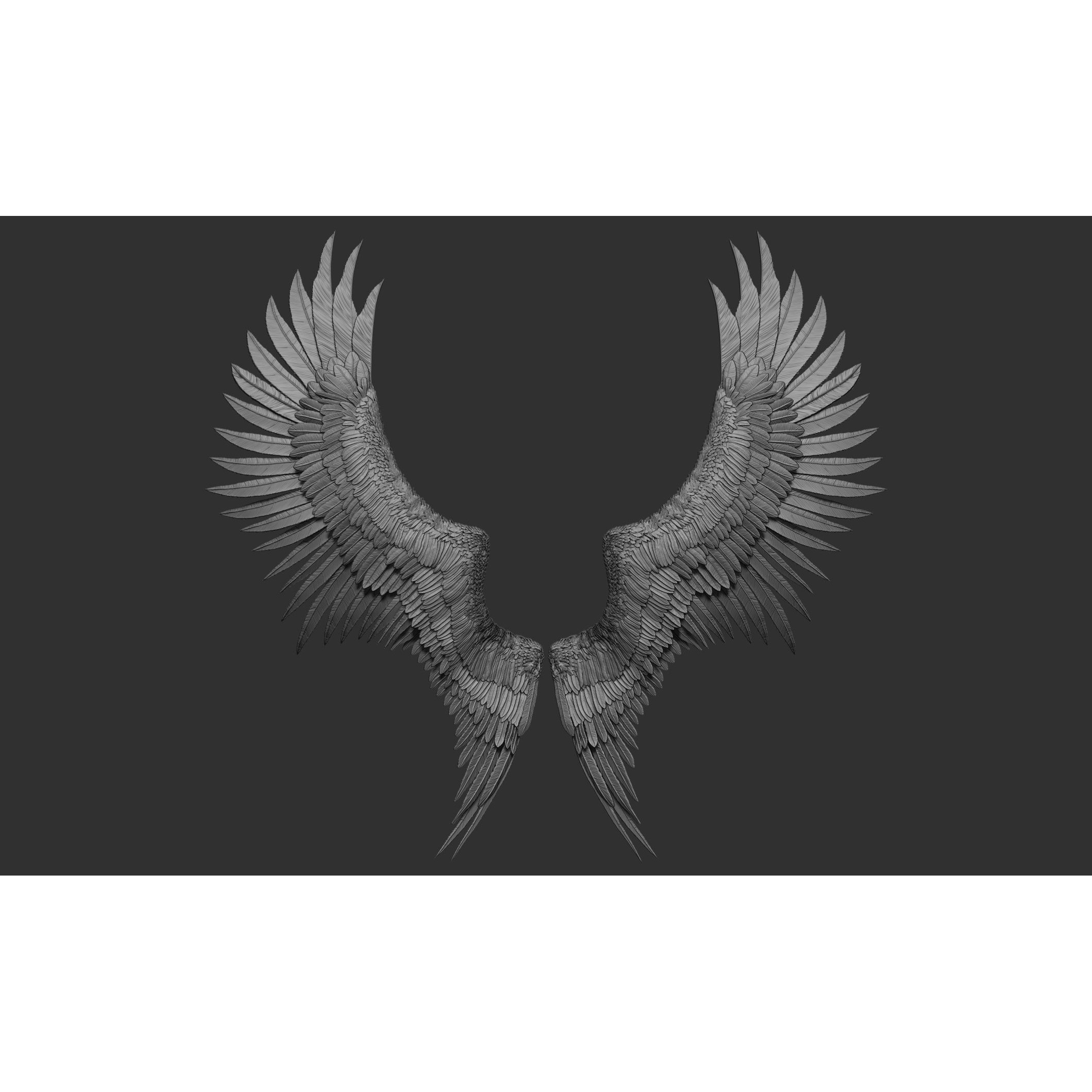 Wings 3D Model – High Poly ZBrush Designs, OBJ, STL Formats - View 32