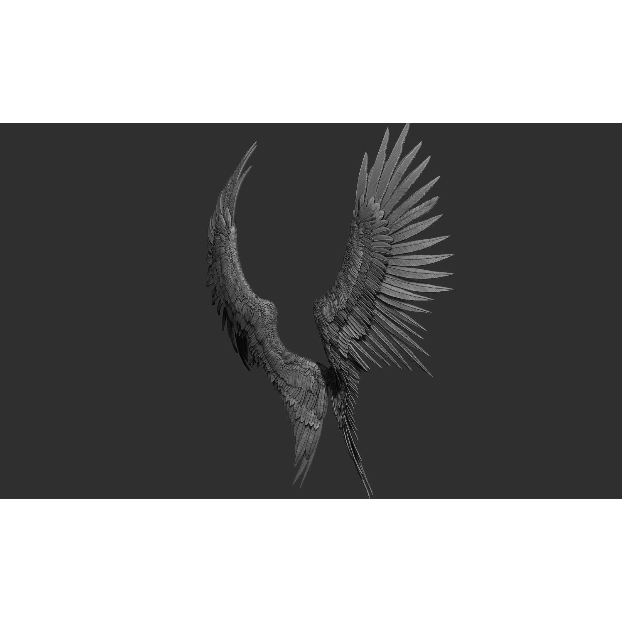 Wings 3D Model – High Poly ZBrush Designs, OBJ, STL Formats - View 33