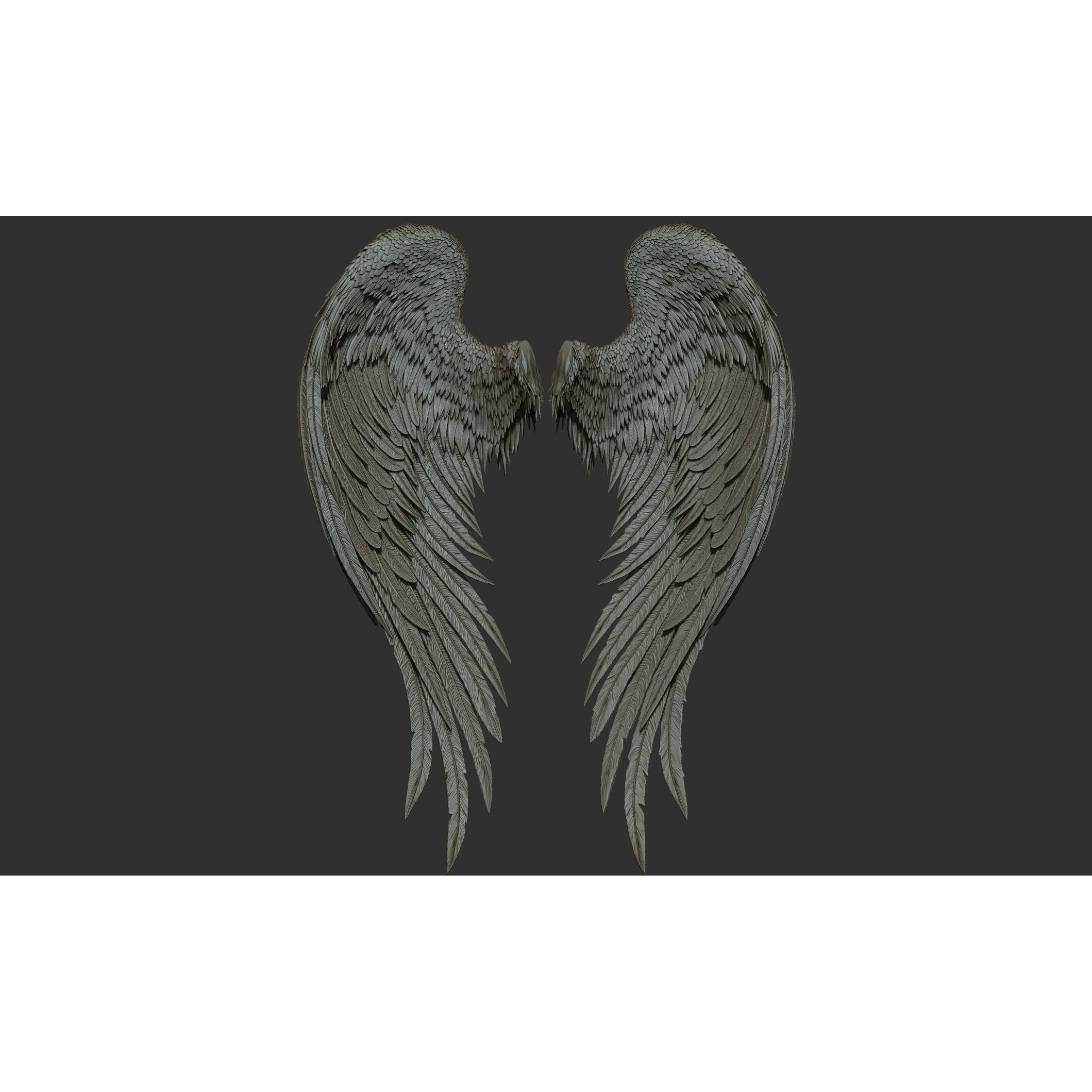 Wings 3D Model – High Poly ZBrush Designs, OBJ, STL Formats - View 35