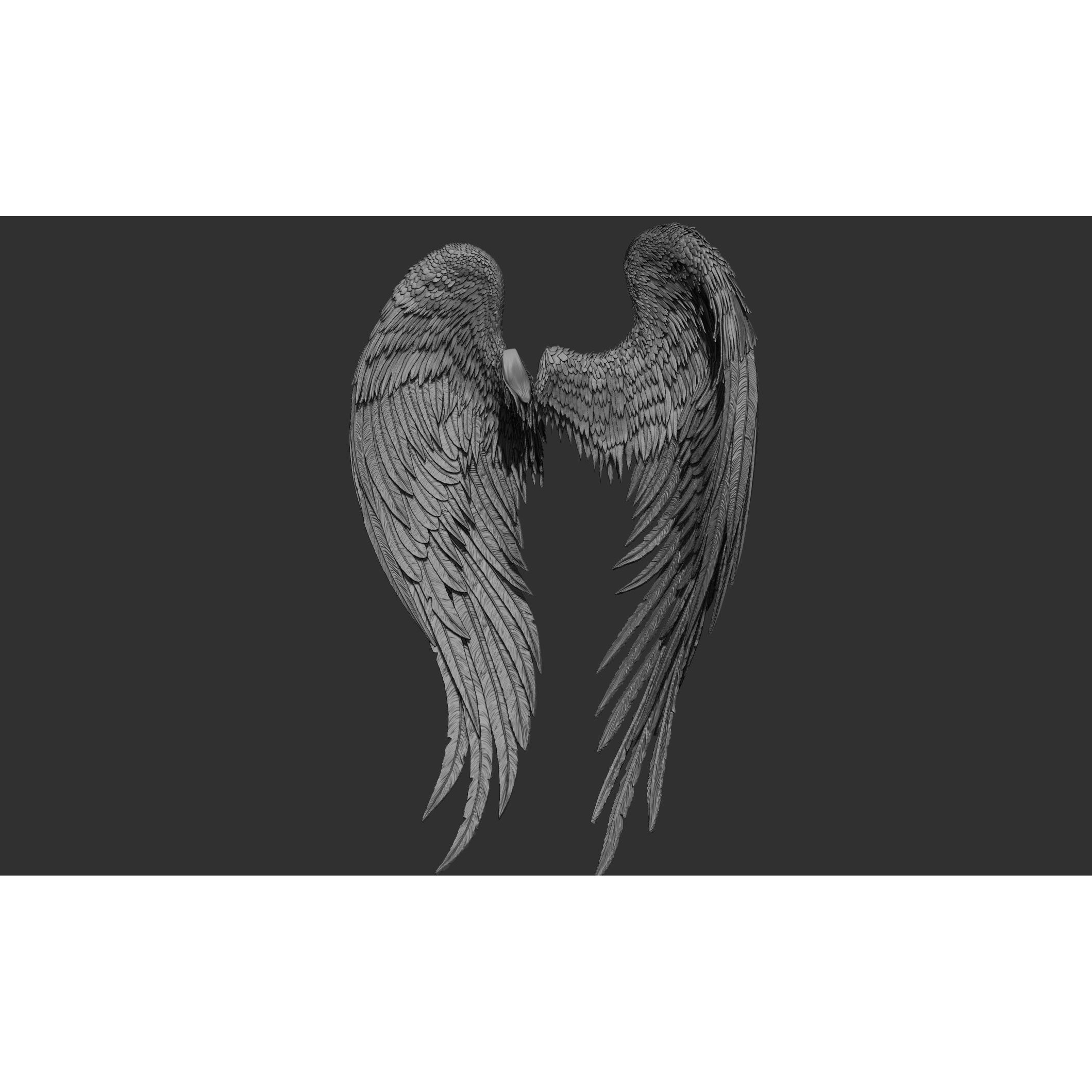 Wings 3D Model – High Poly ZBrush Designs, OBJ, STL Formats - View 37