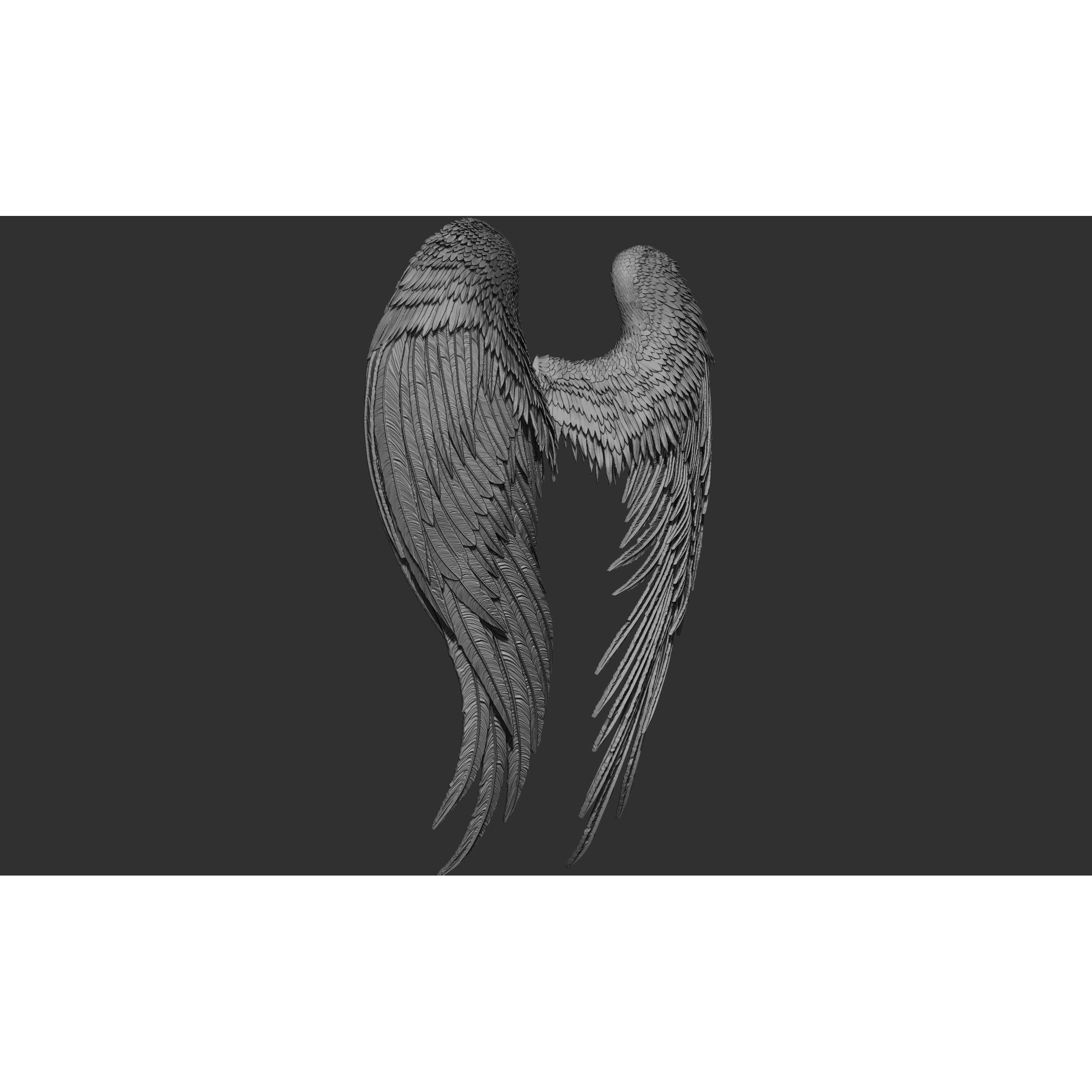 Wings 3D Model – High Poly ZBrush Designs, OBJ, STL Formats - View 38
