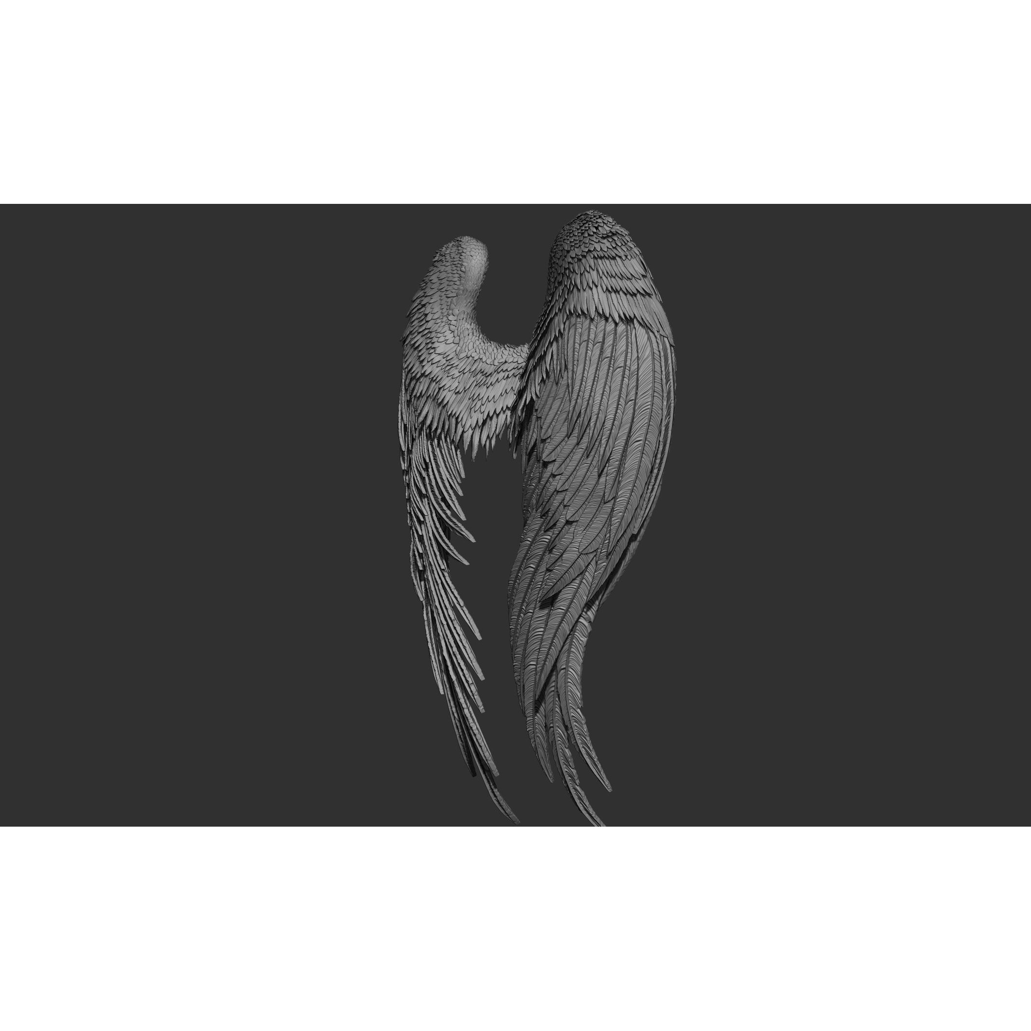 Wings 3D Model – High Poly ZBrush Designs, OBJ, STL Formats - View 40
