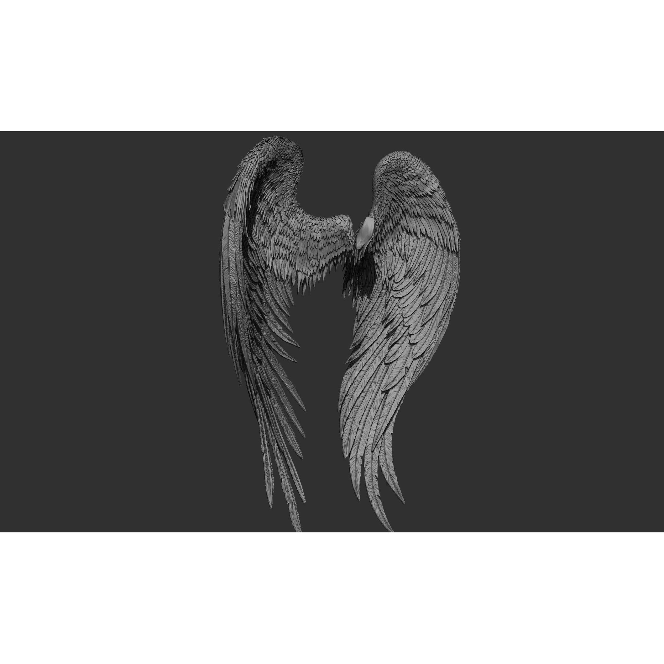 Wings 3D Model – High Poly ZBrush Designs, OBJ, STL Formats - View 41