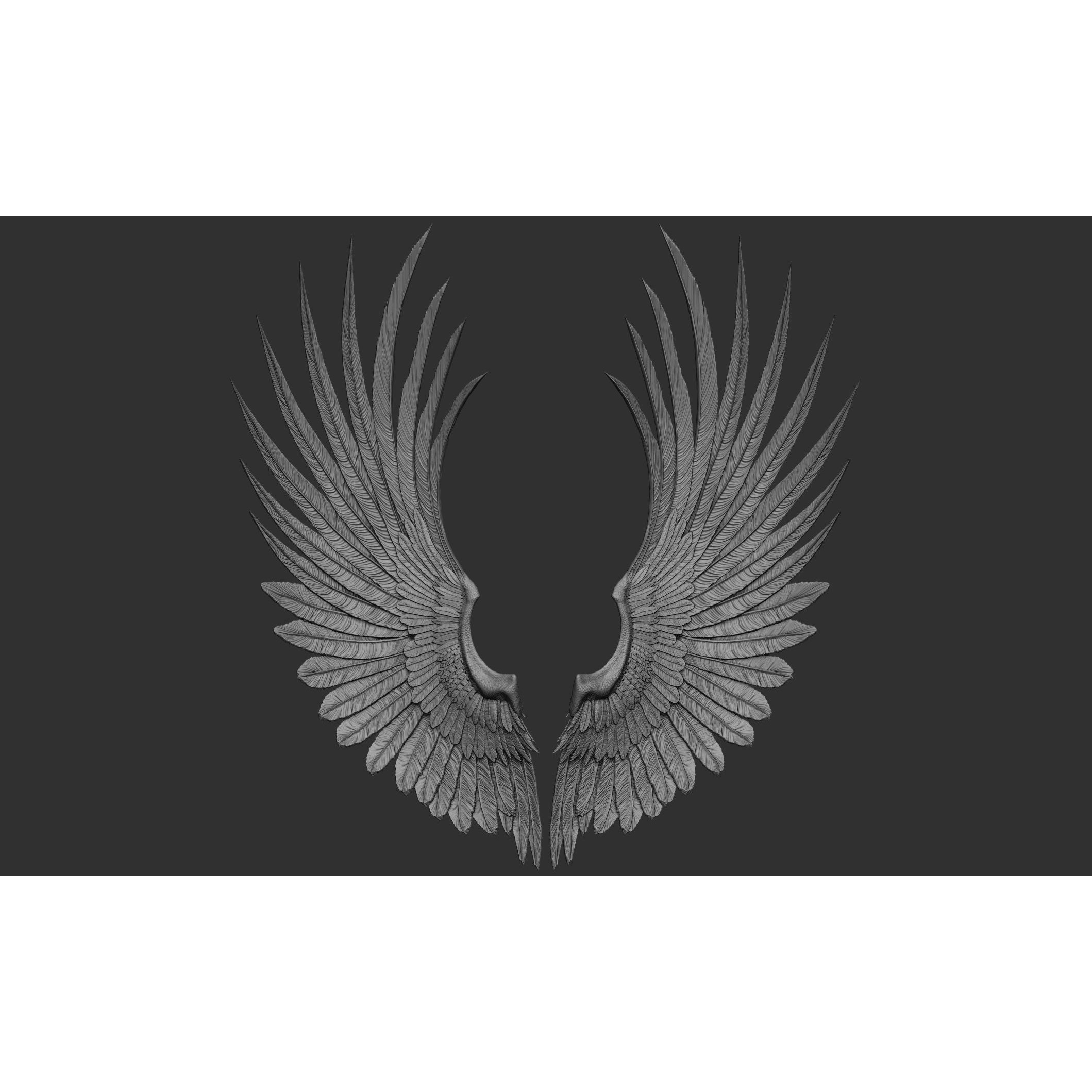 Wings 3D Model – High Poly ZBrush Designs, OBJ, STL Formats - View 48