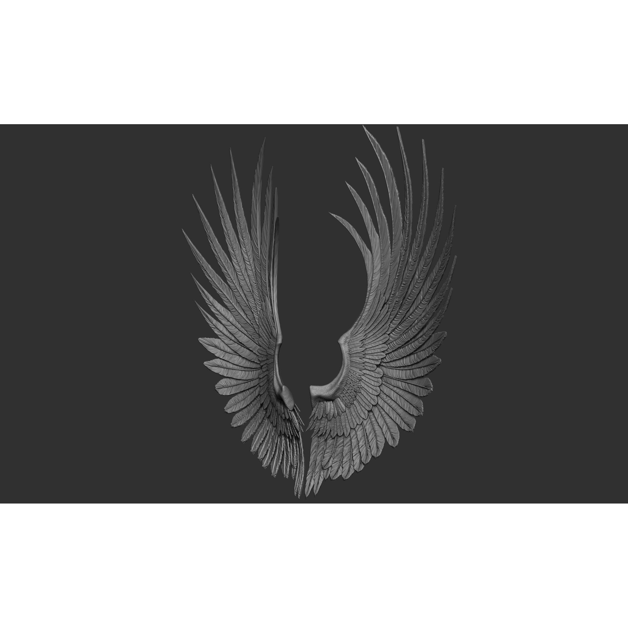 Wings 3D Model – High Poly ZBrush Designs, OBJ, STL Formats - View 49