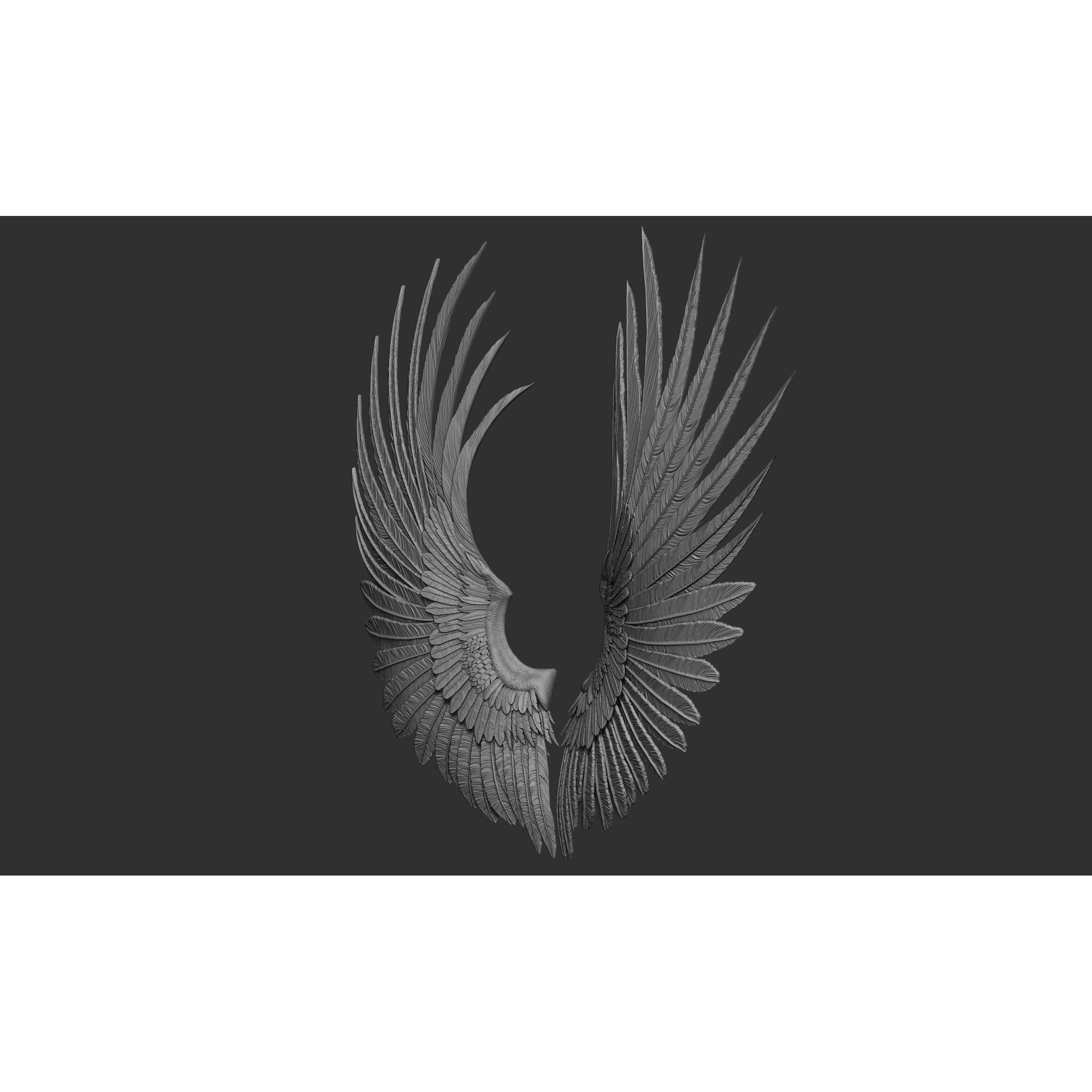 Wings 3D Model – High Poly ZBrush Designs, OBJ, STL Formats - View 52