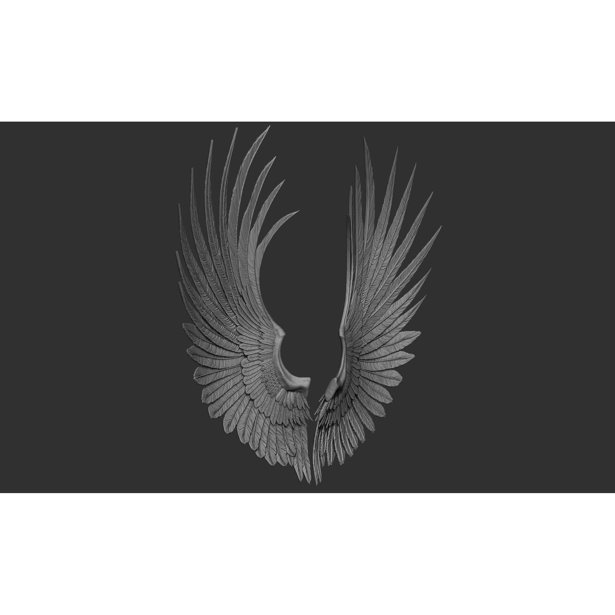 Wings 3D Model – High Poly ZBrush Designs, OBJ, STL Formats - View 53