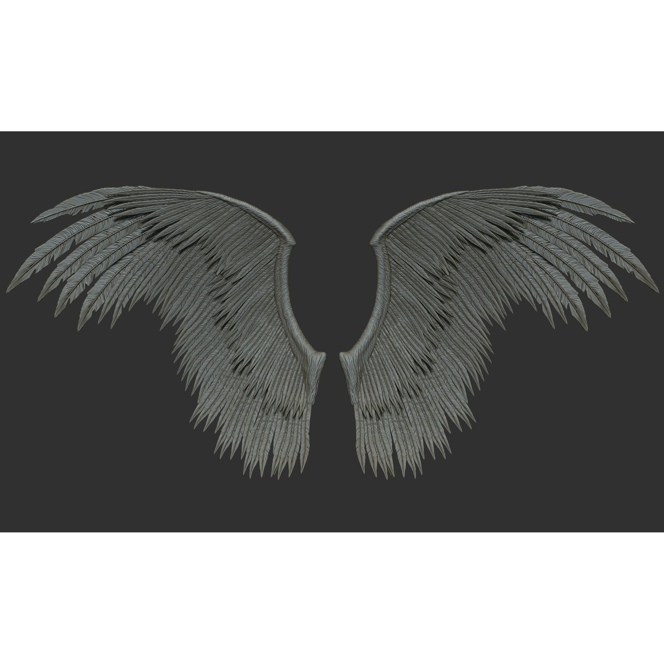 Wings 3D Model – High Poly ZBrush Designs, OBJ, STL Formats - View 61