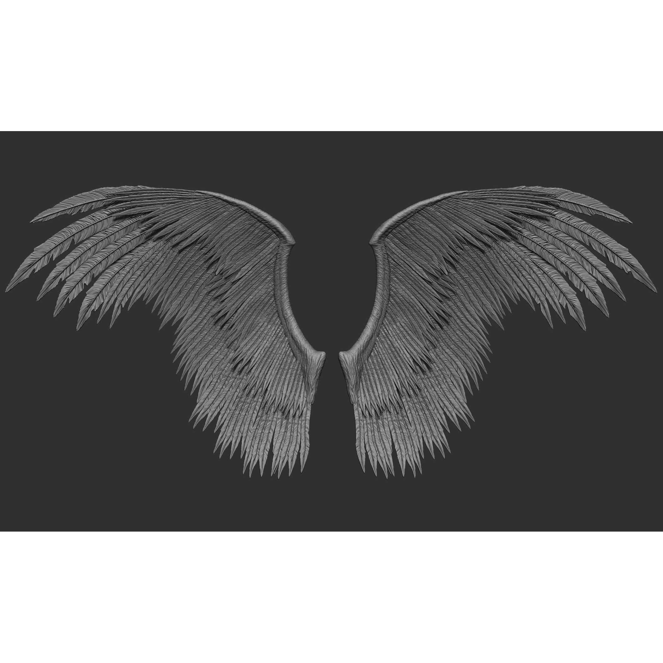 Wings 3D Model – High Poly ZBrush Designs, OBJ, STL Formats - View 62