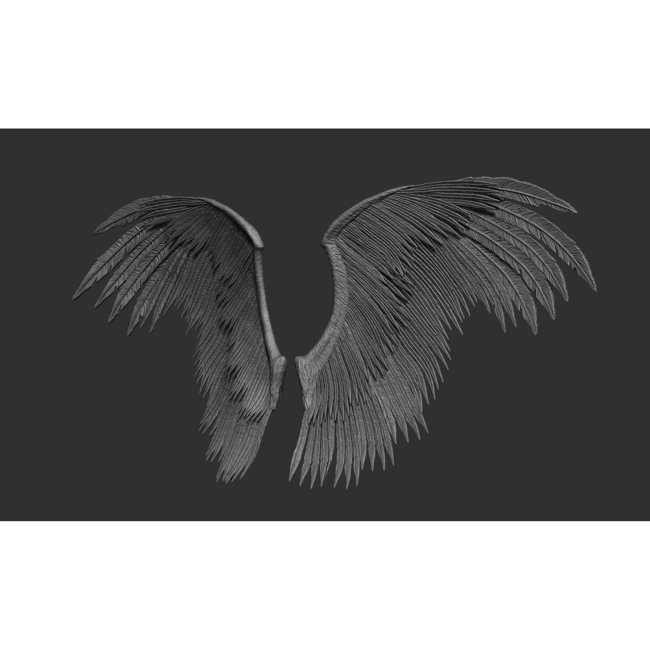 Wings 3D Model – High Poly ZBrush Designs, OBJ, STL Formats - View 63