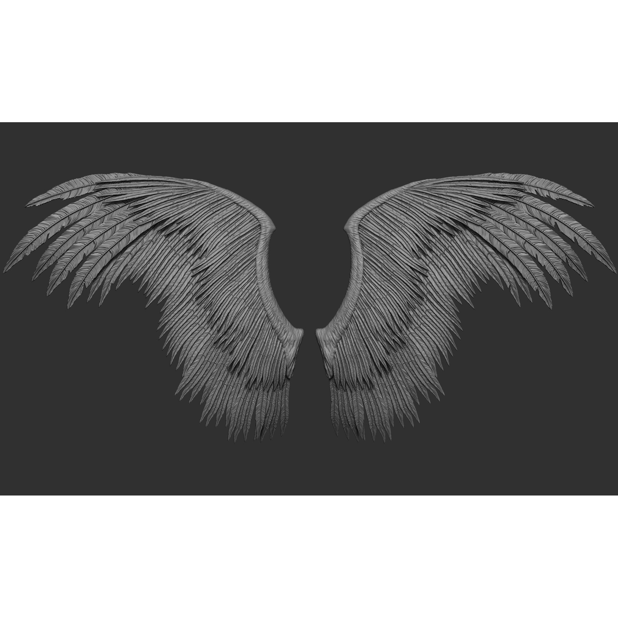 Wings 3D Model – High Poly ZBrush Designs, OBJ, STL Formats - View 65