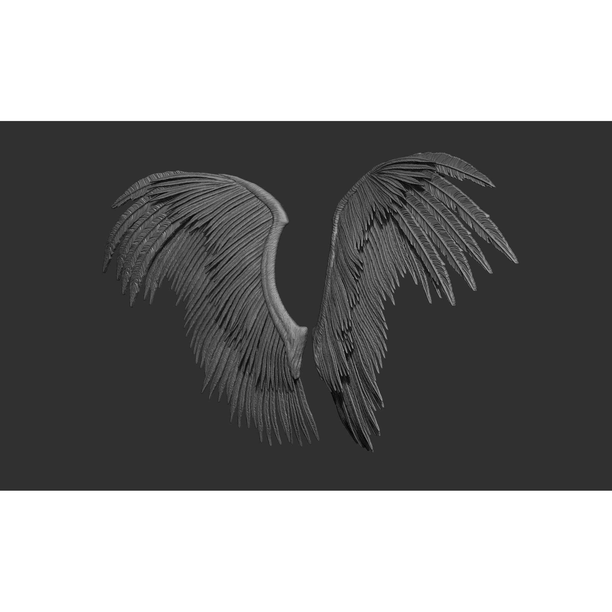 Wings 3D Model – High Poly ZBrush Designs, OBJ, STL Formats - View 66