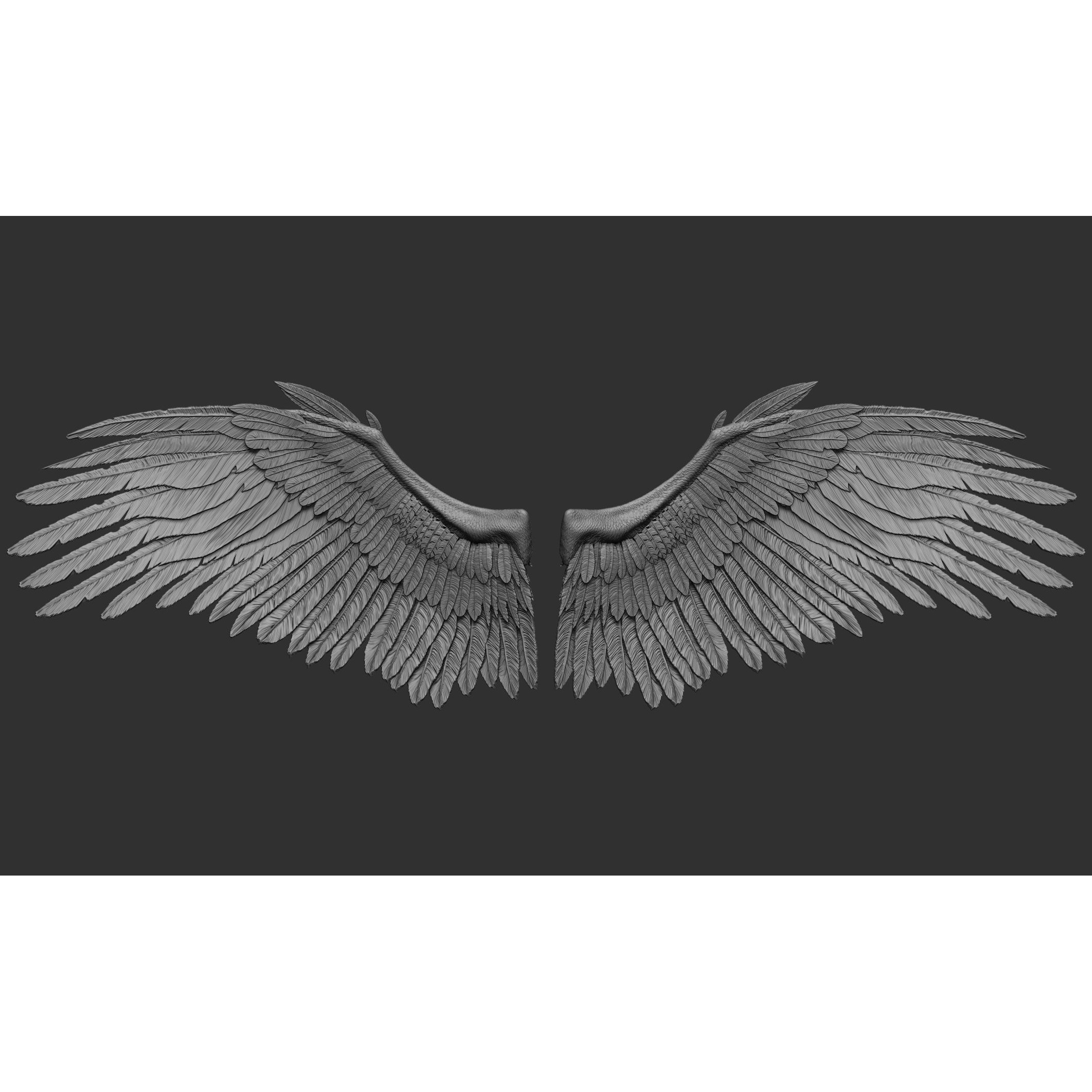 Wings 3D Model – High Poly ZBrush Designs, OBJ, STL Formats - View 9