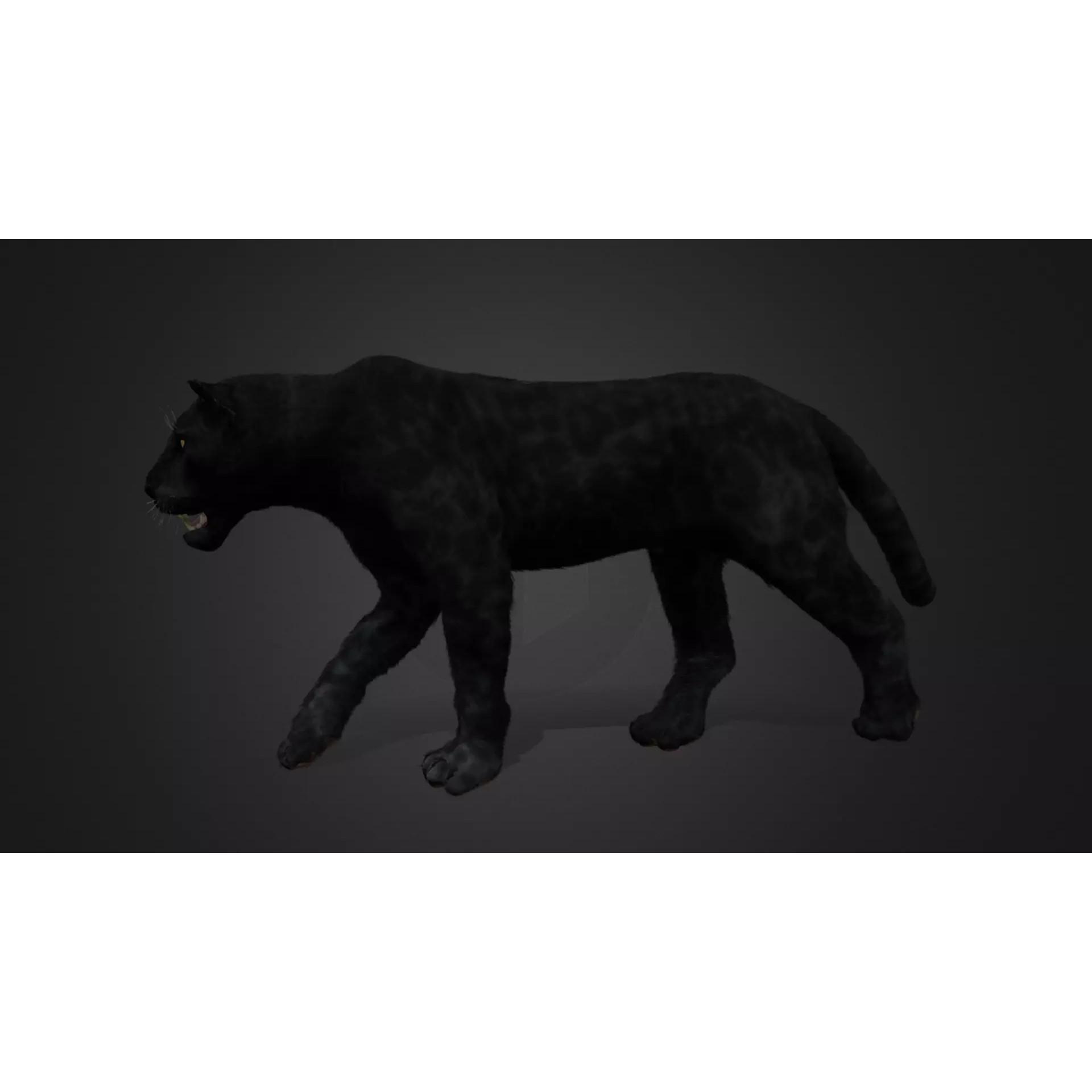 Realistic Panther 3D Model – Animated Rigged Asset for Unreal Engine - View 2